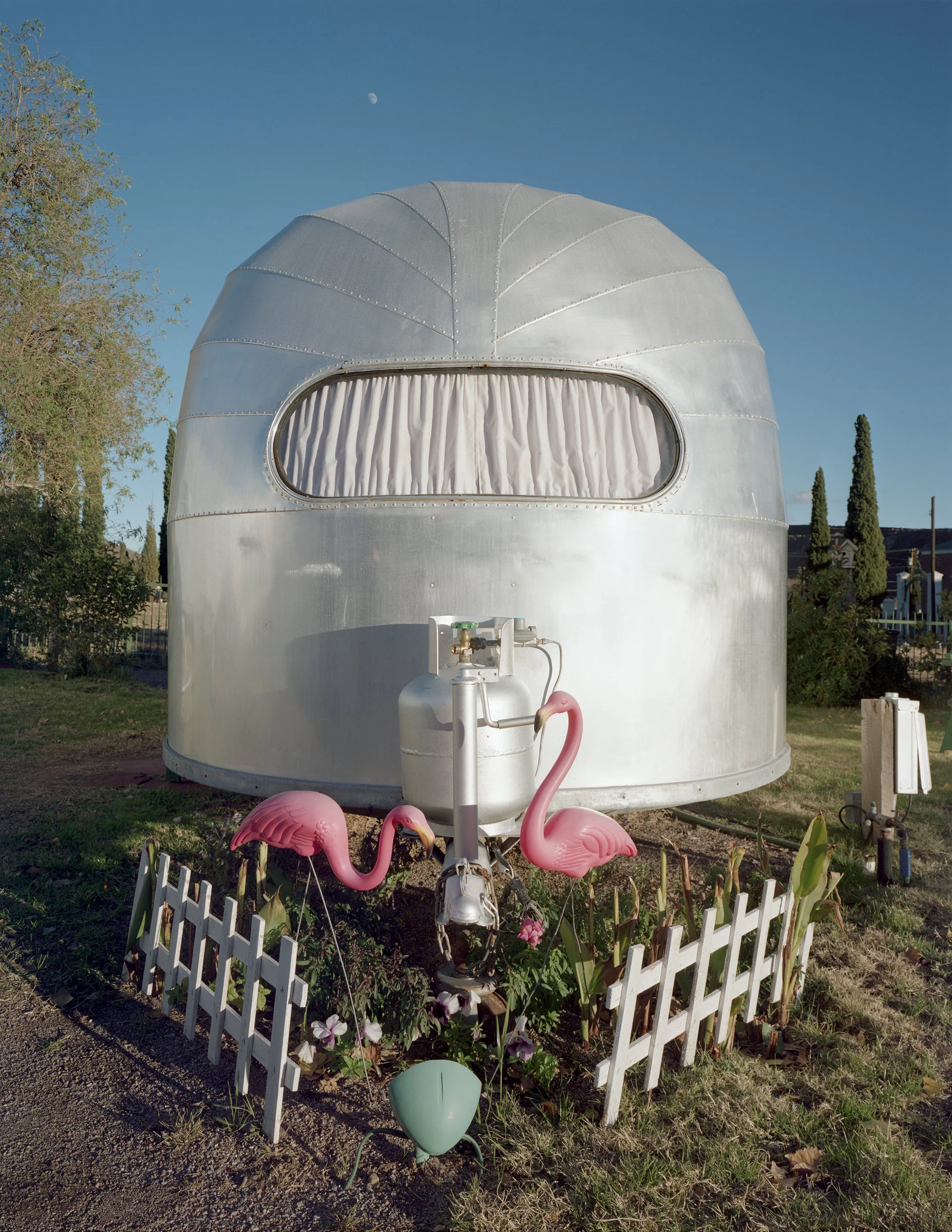 Airstream and Flamingos - Medium