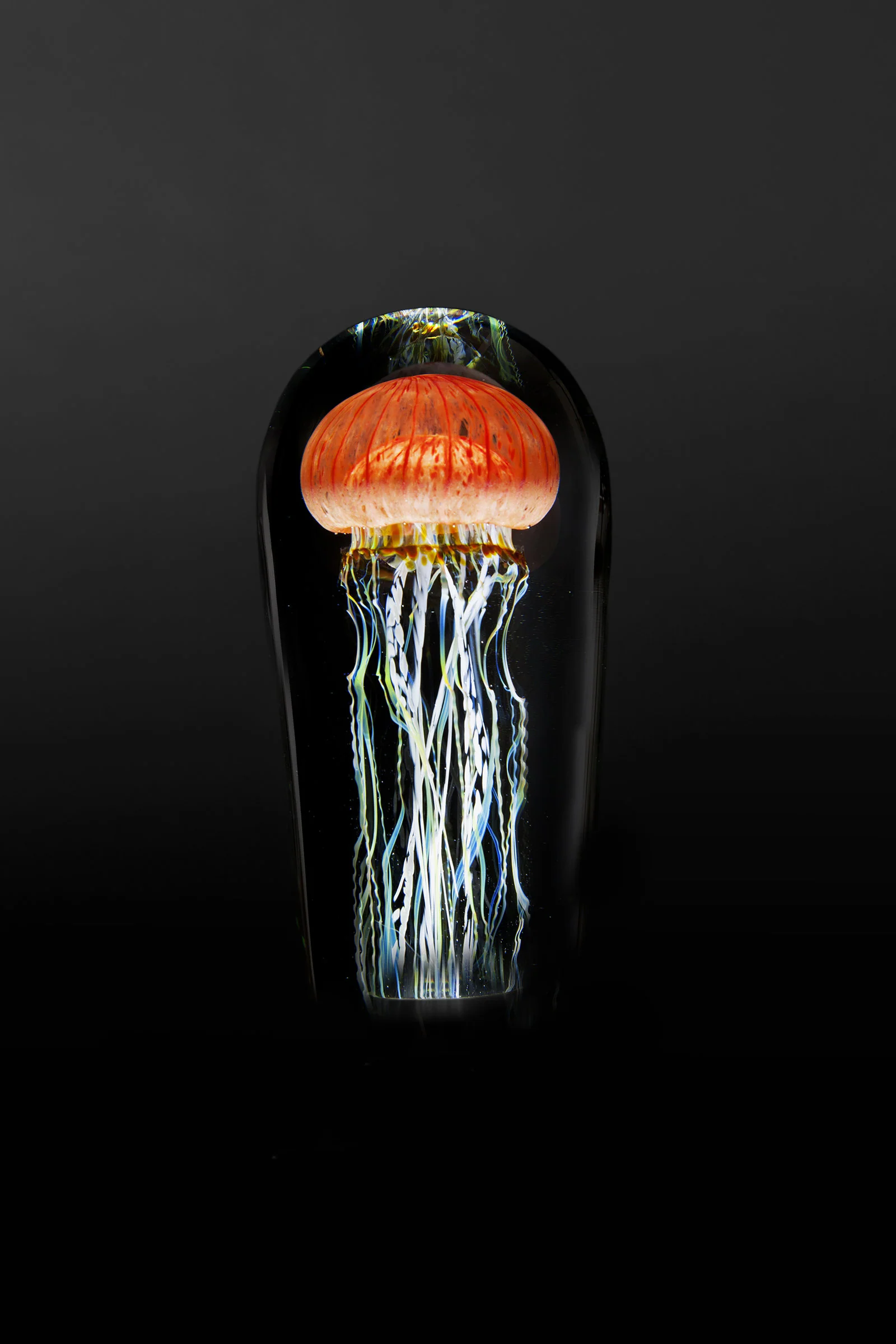 Pacific Coast Jellyfish Mini - Image 3