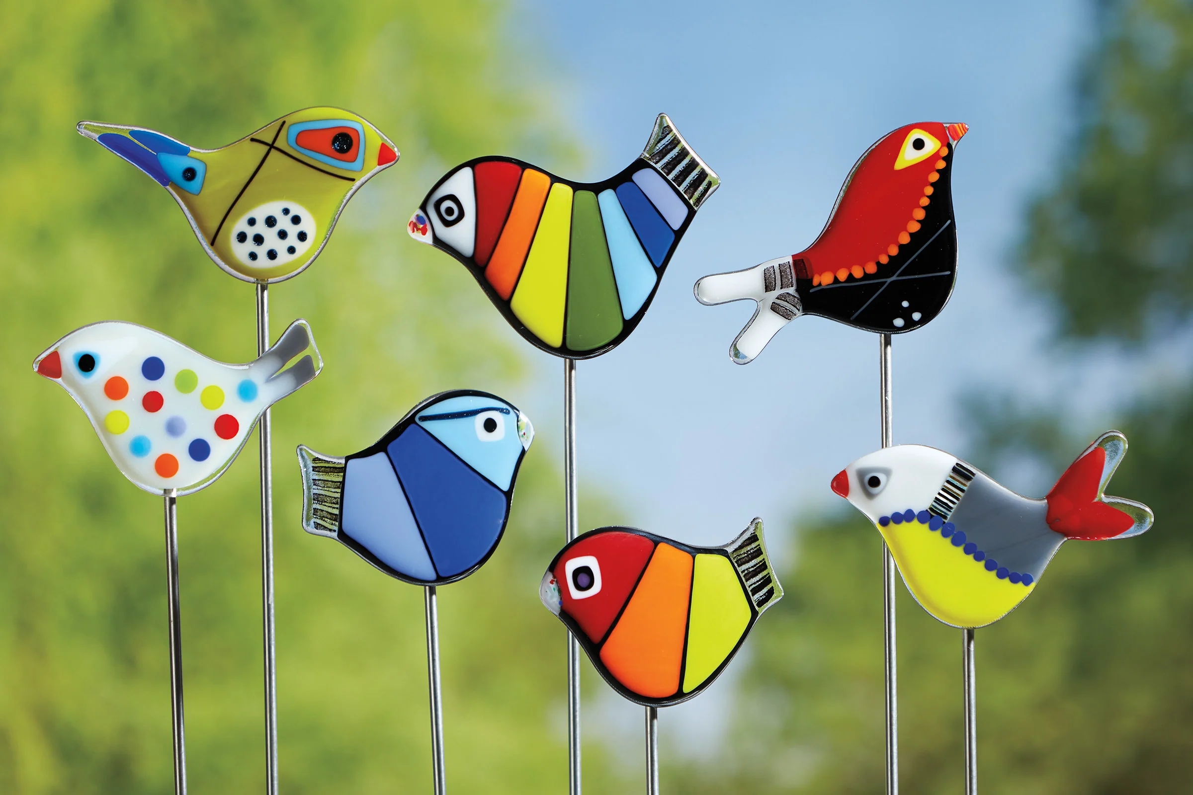 Rainbow Garden Birds - Image 6