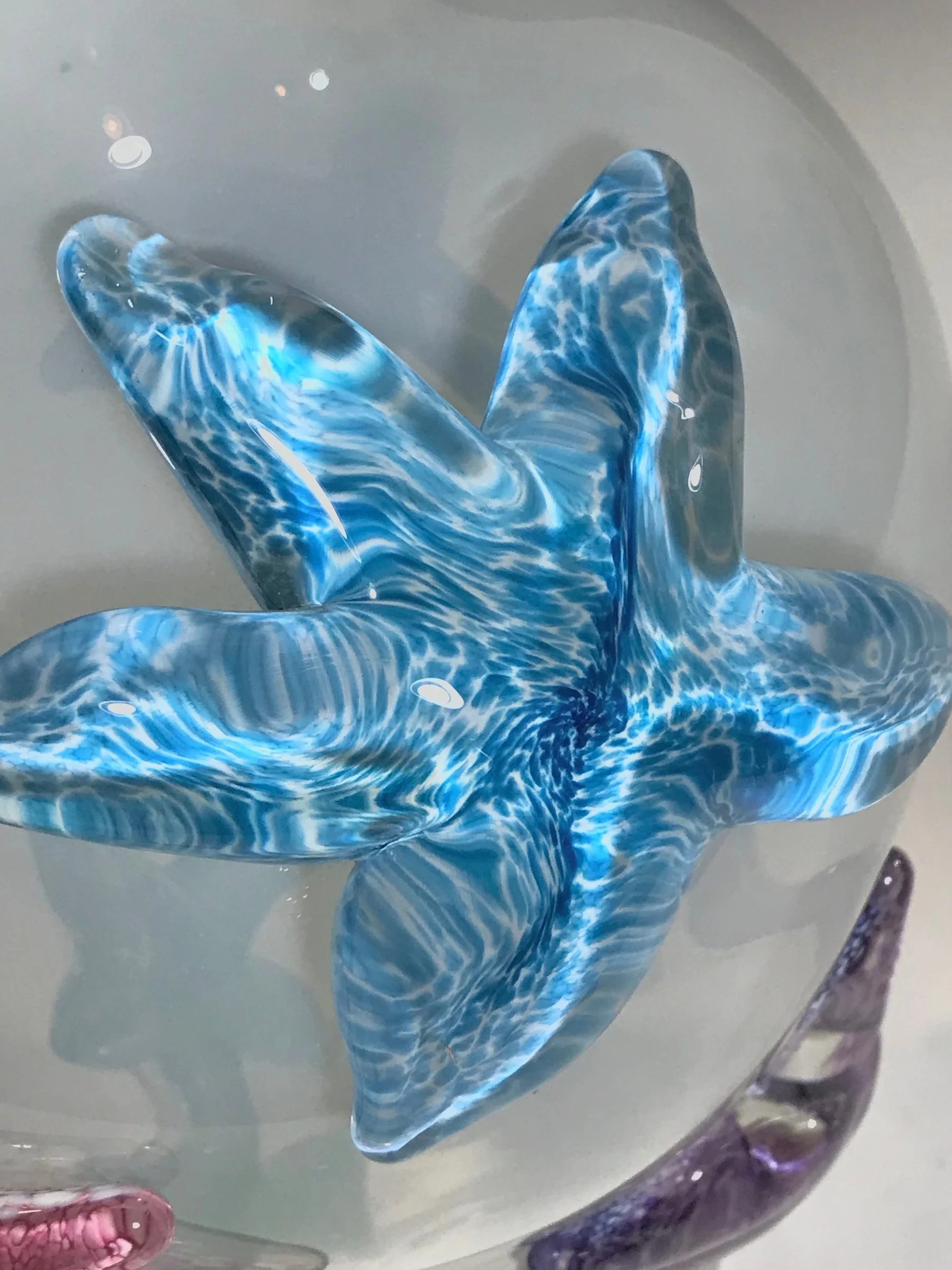 Starfish Amphora II - Image 4