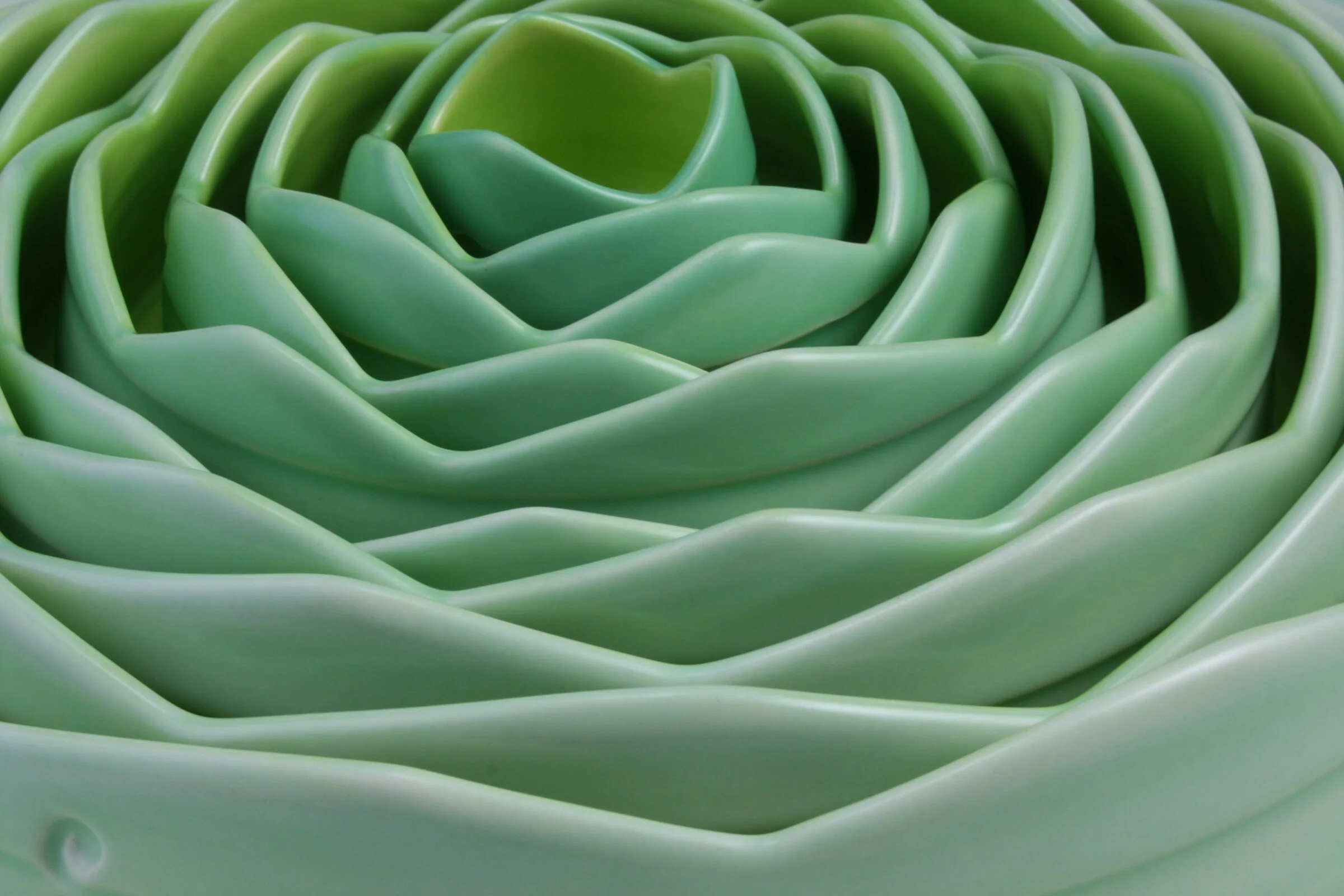 Artichoke in Verde - Image 4