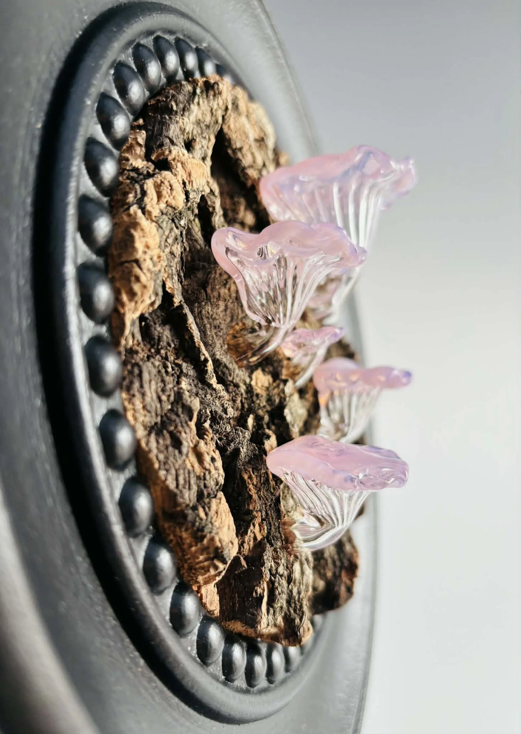 Bark and Bloom - Image 2