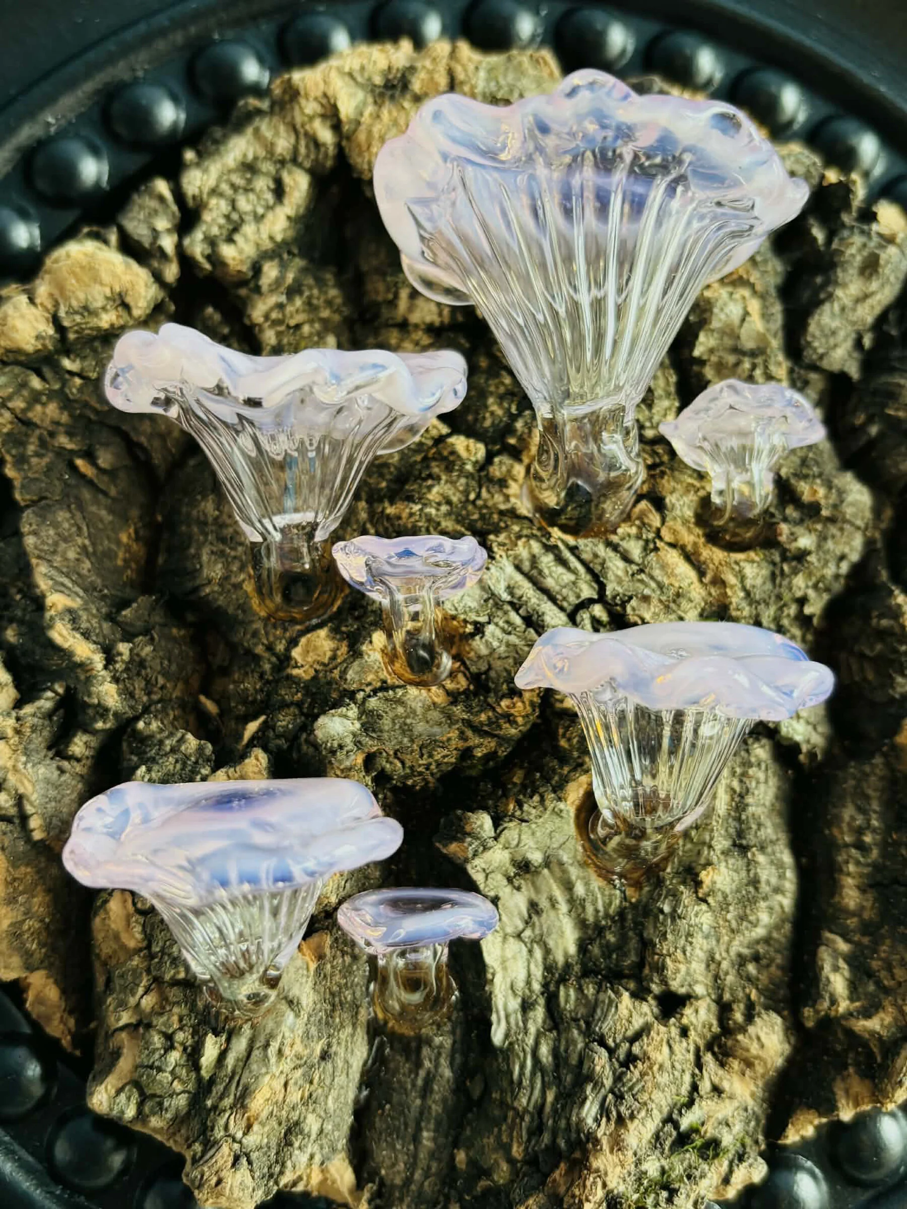 Bark and Bloom - Image 3