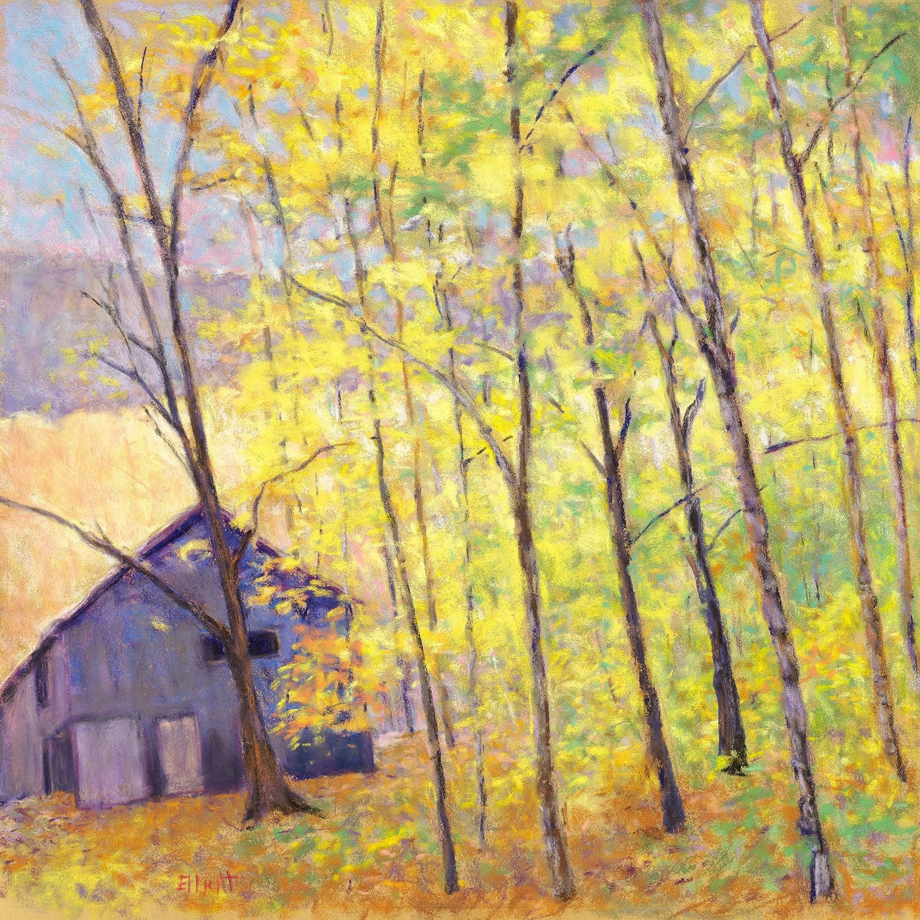 Barn at the Edge of the Woods - Medium