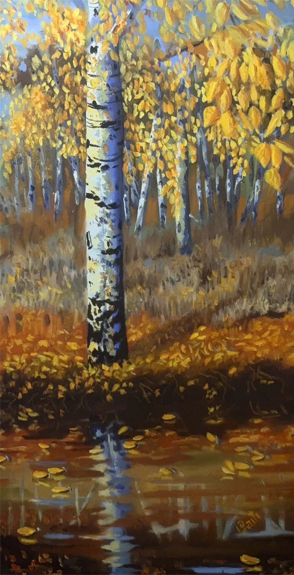 Birch at the Bank