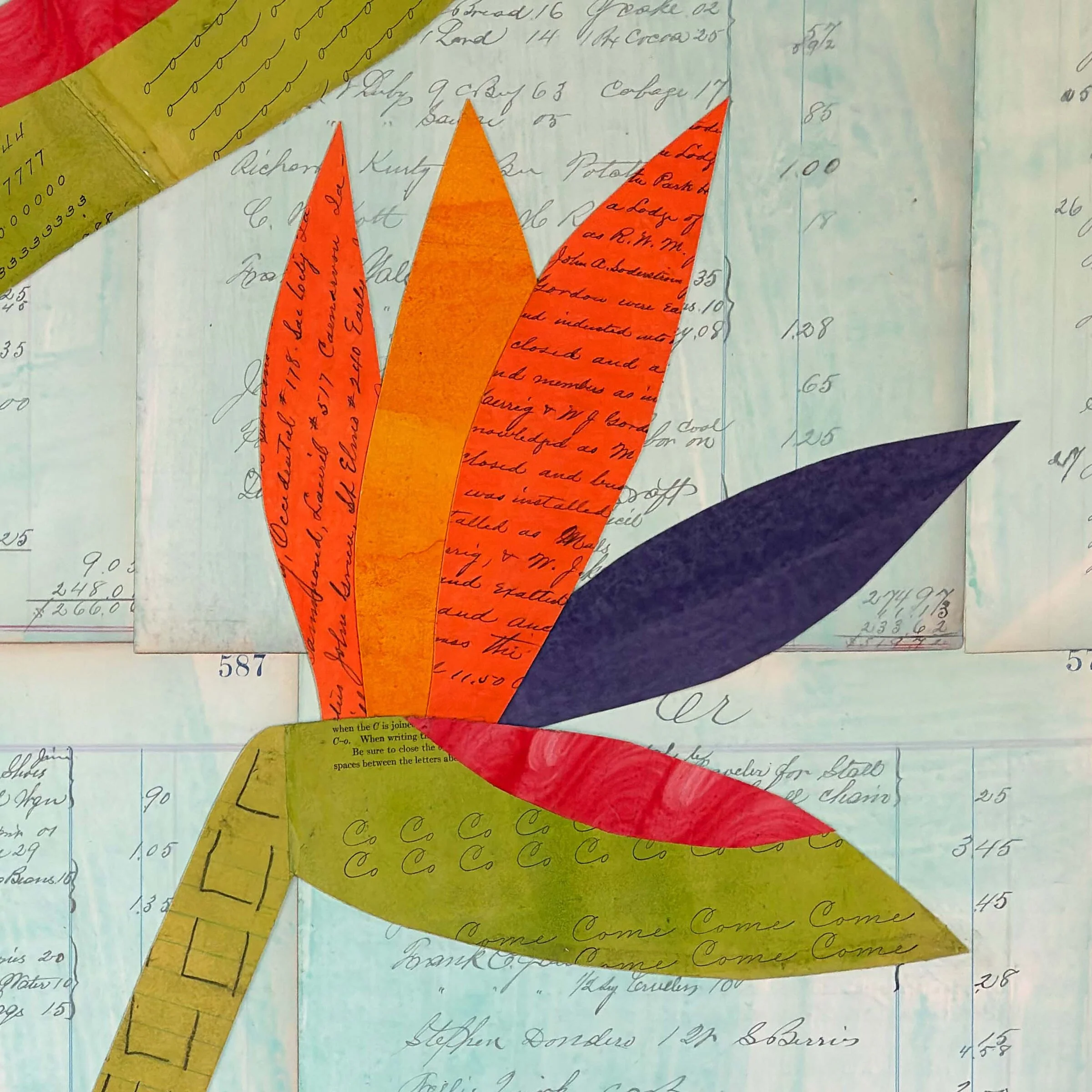 Birds of Paradise - Image 3