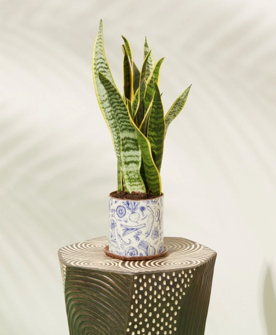 Bleu Veggies Medium Planter - Image 6