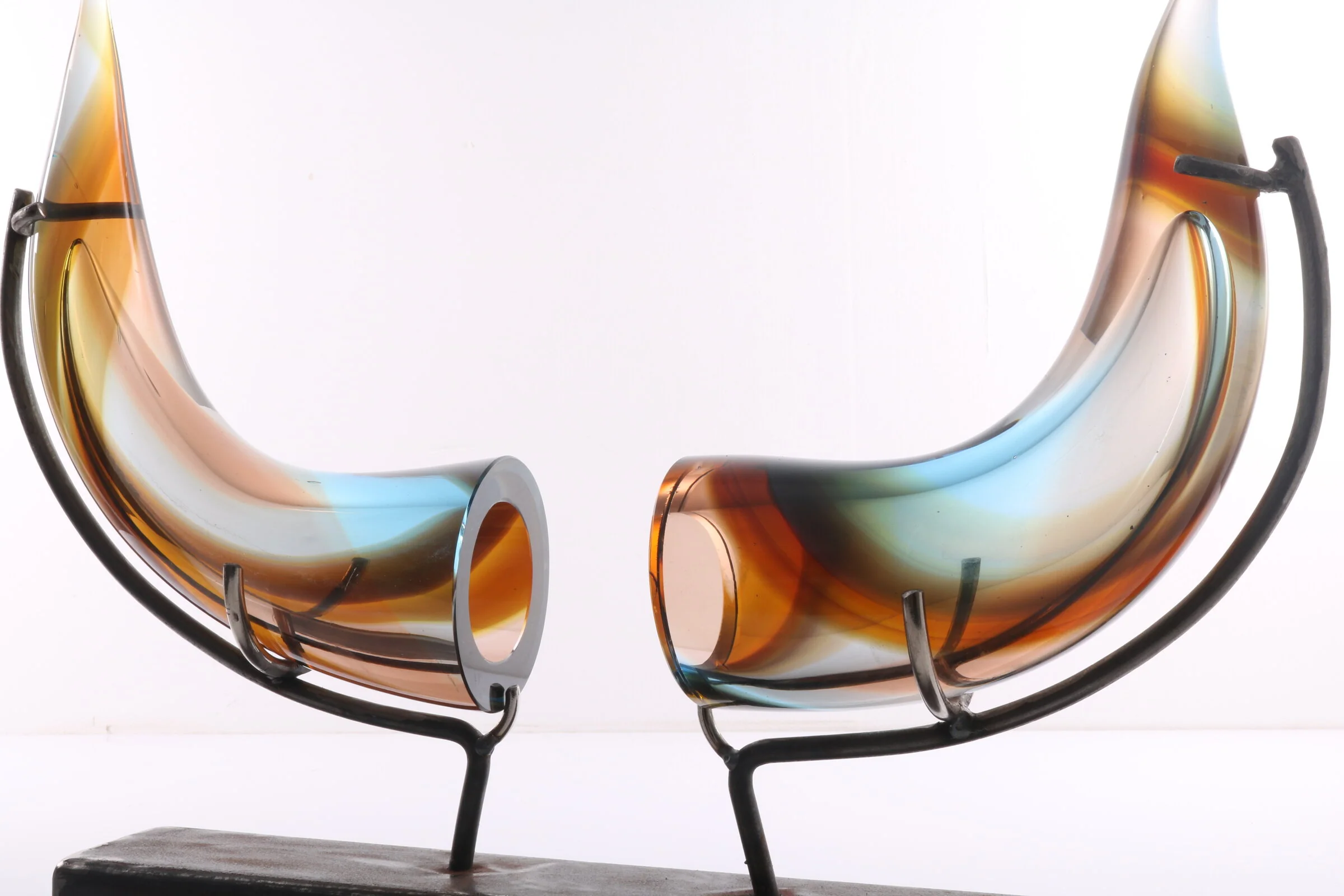 Bull Horns - Image 4