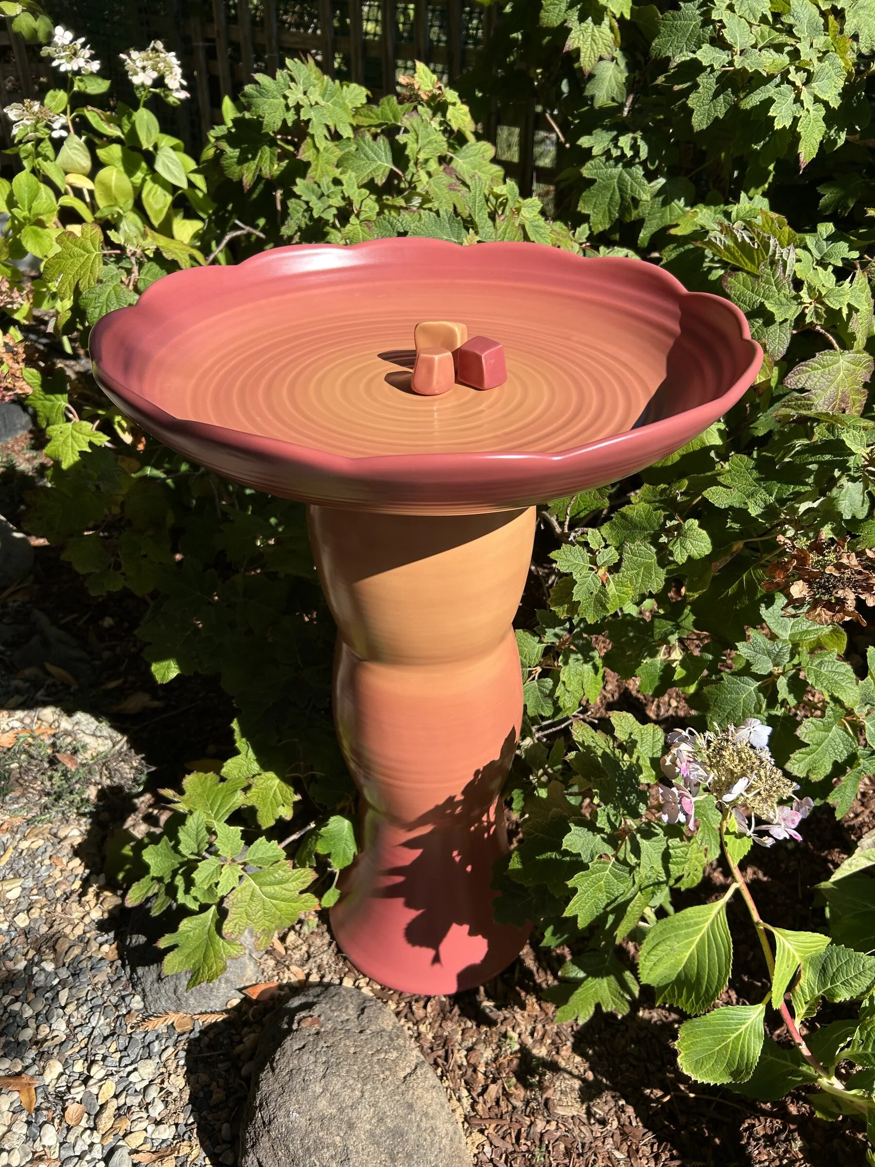 Avian Spa in Cardinal
