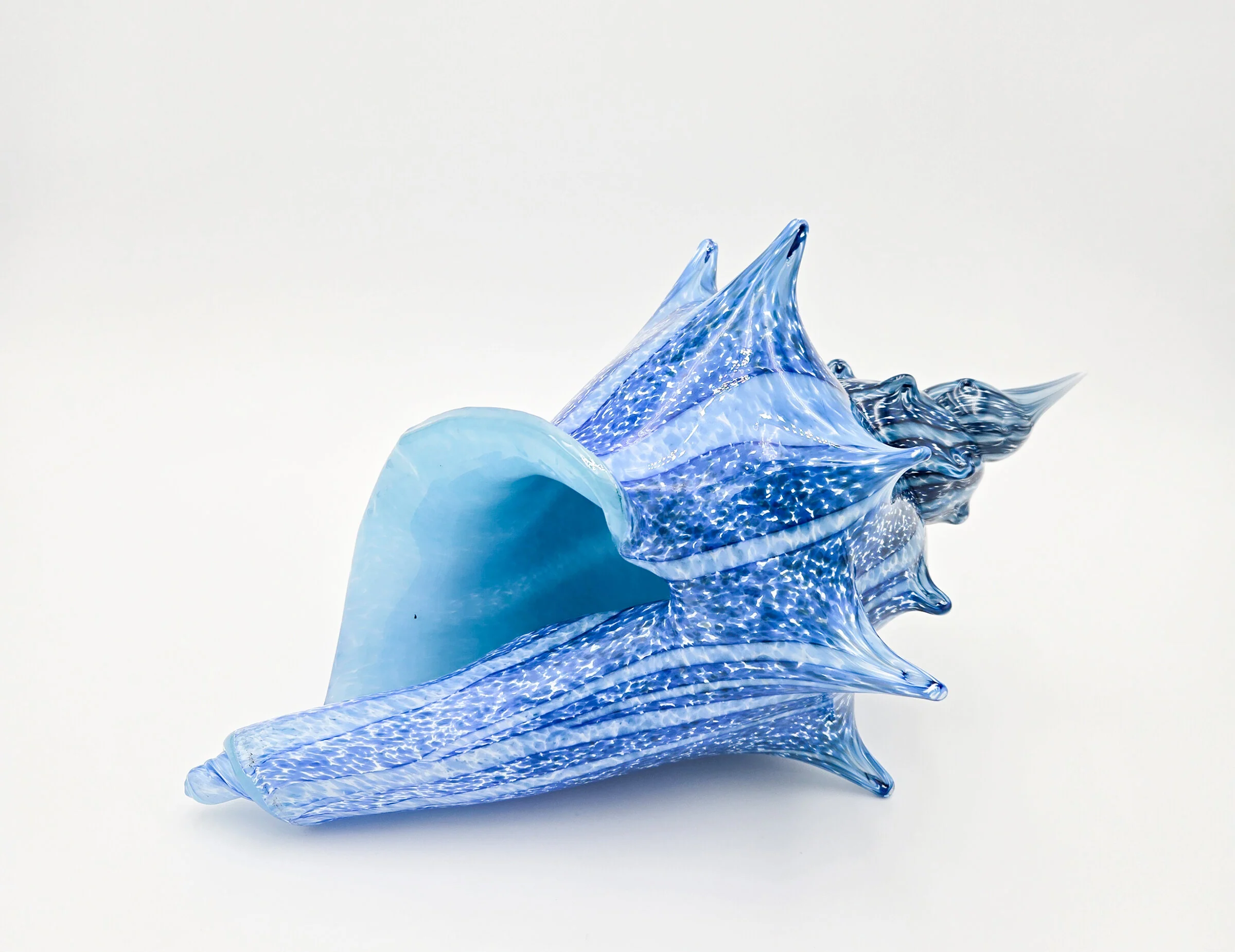 Coastal Conch - Deep Blue Stripe