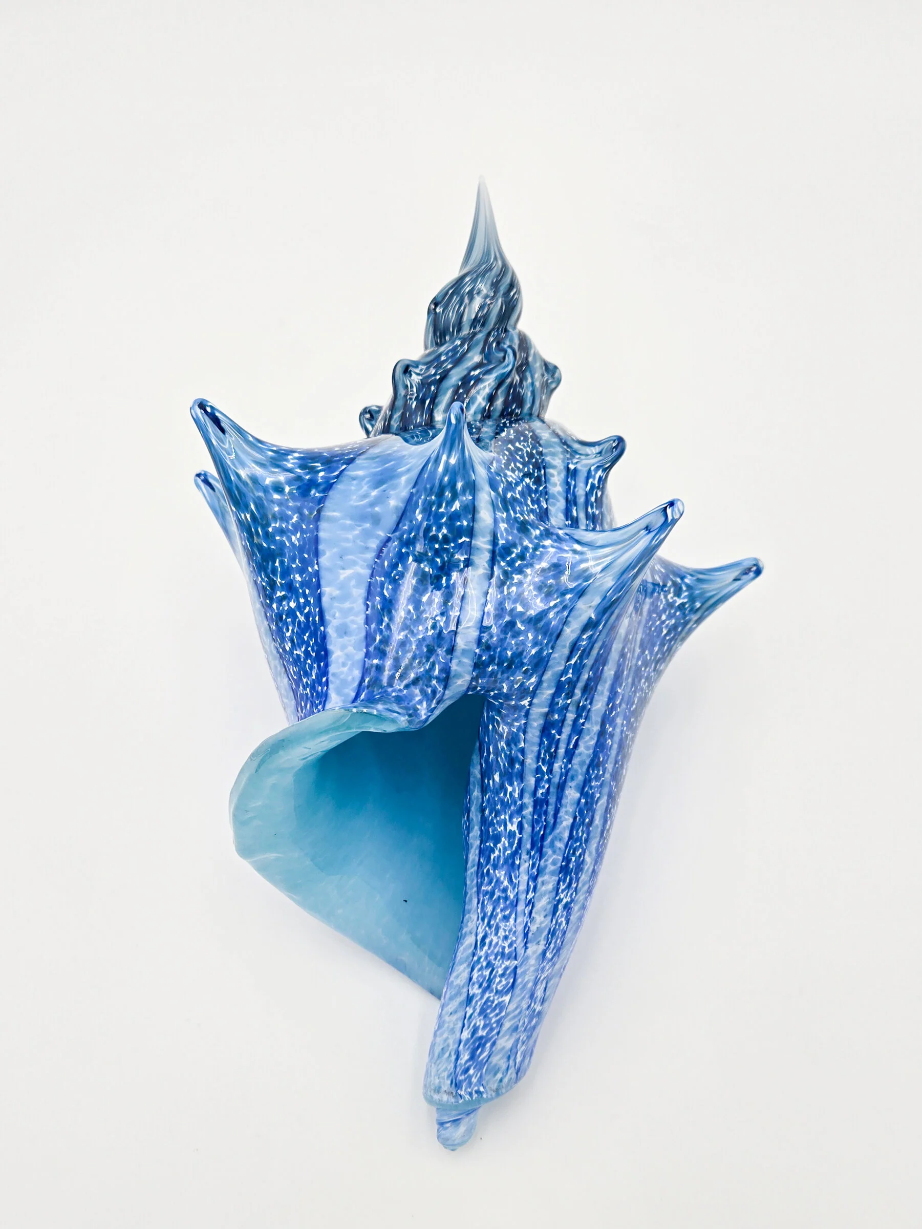 Coastal Conch - Deep Blue Stripe - Image 3