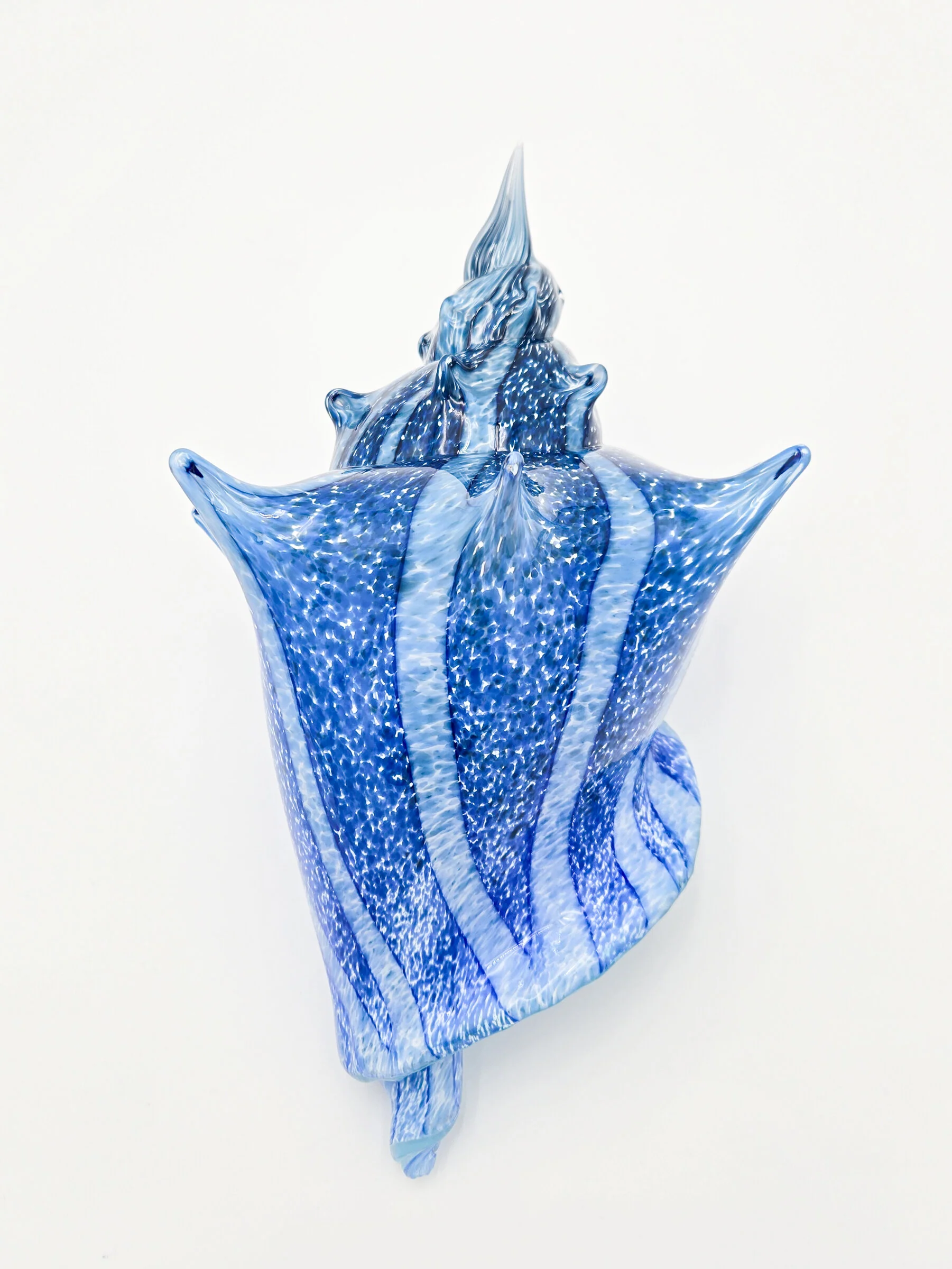 Coastal Conch - Deep Blue Stripe - Image 4