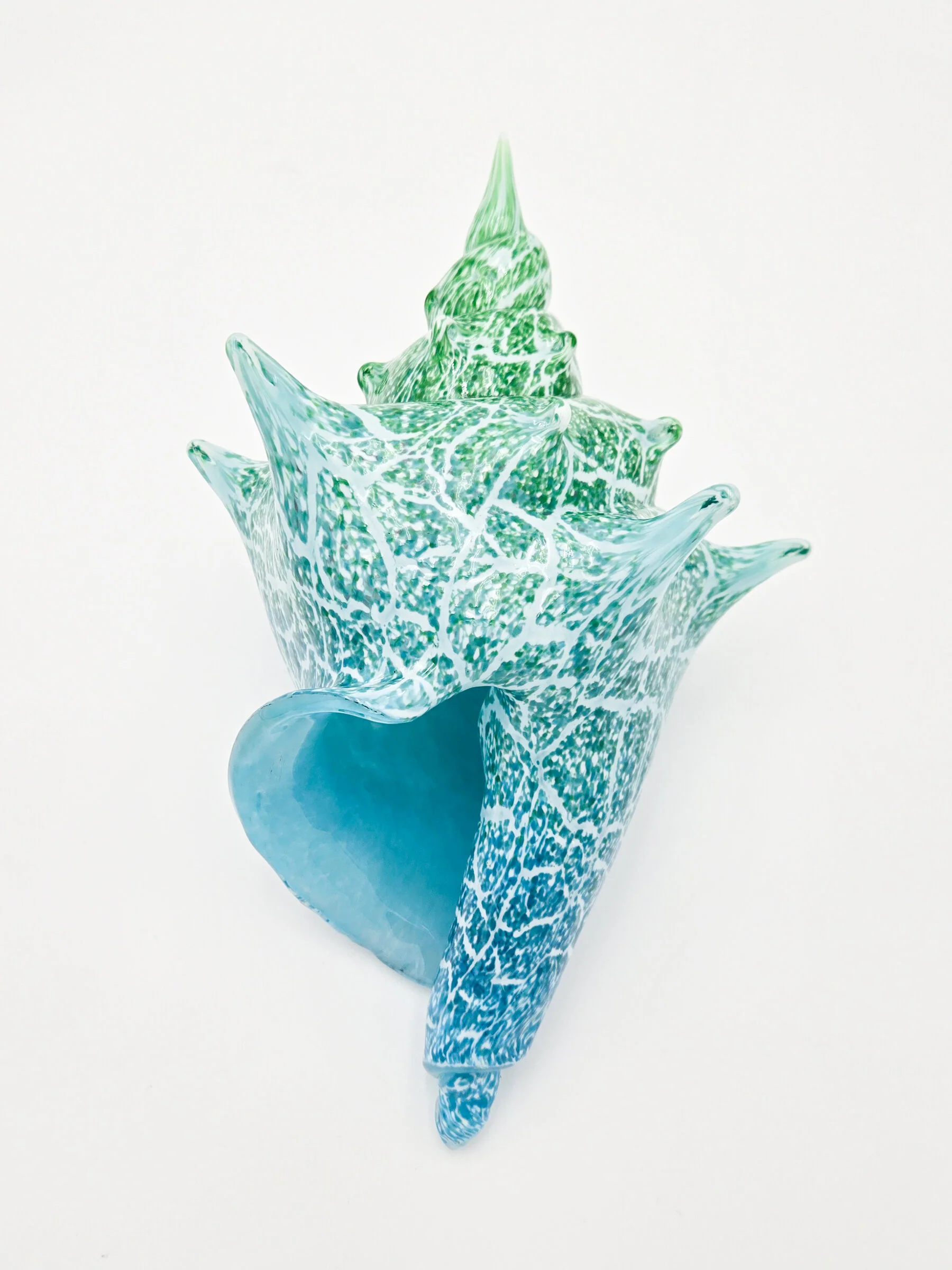 Coastal Conch - Sea Green Ripple - Image 3