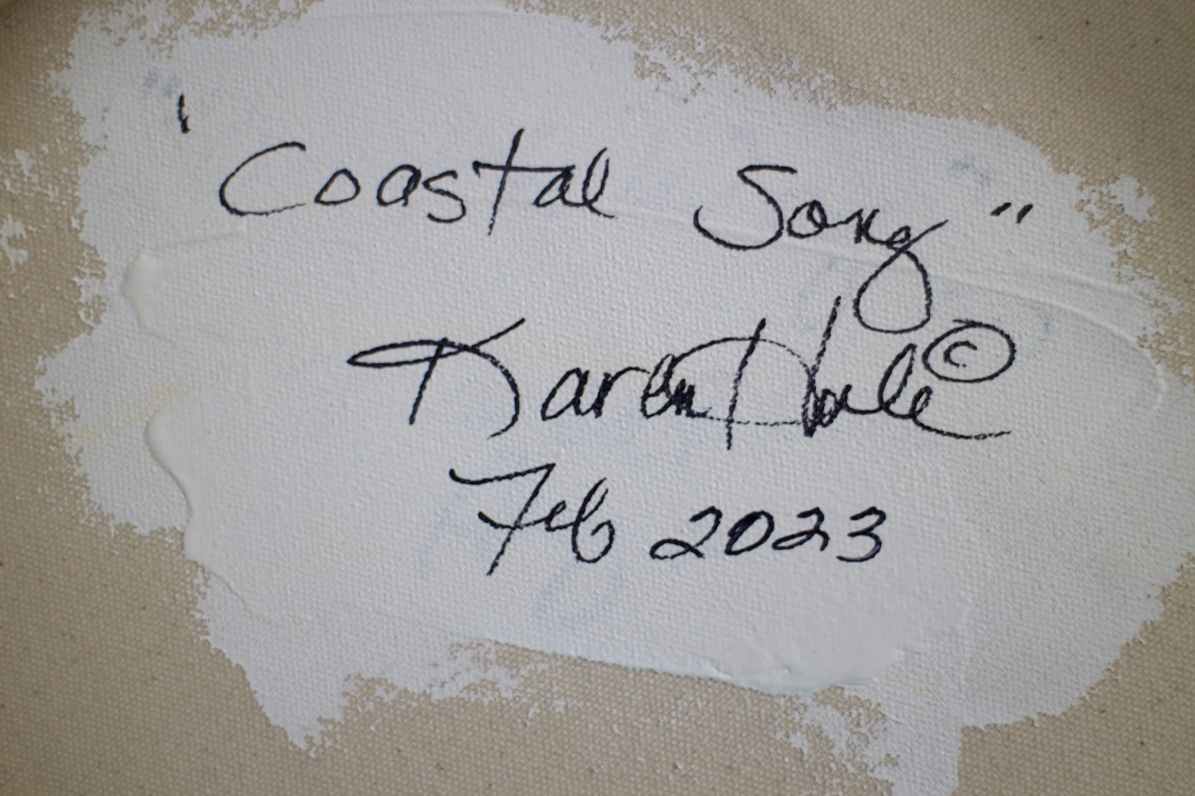 Coastal Song - Image 7