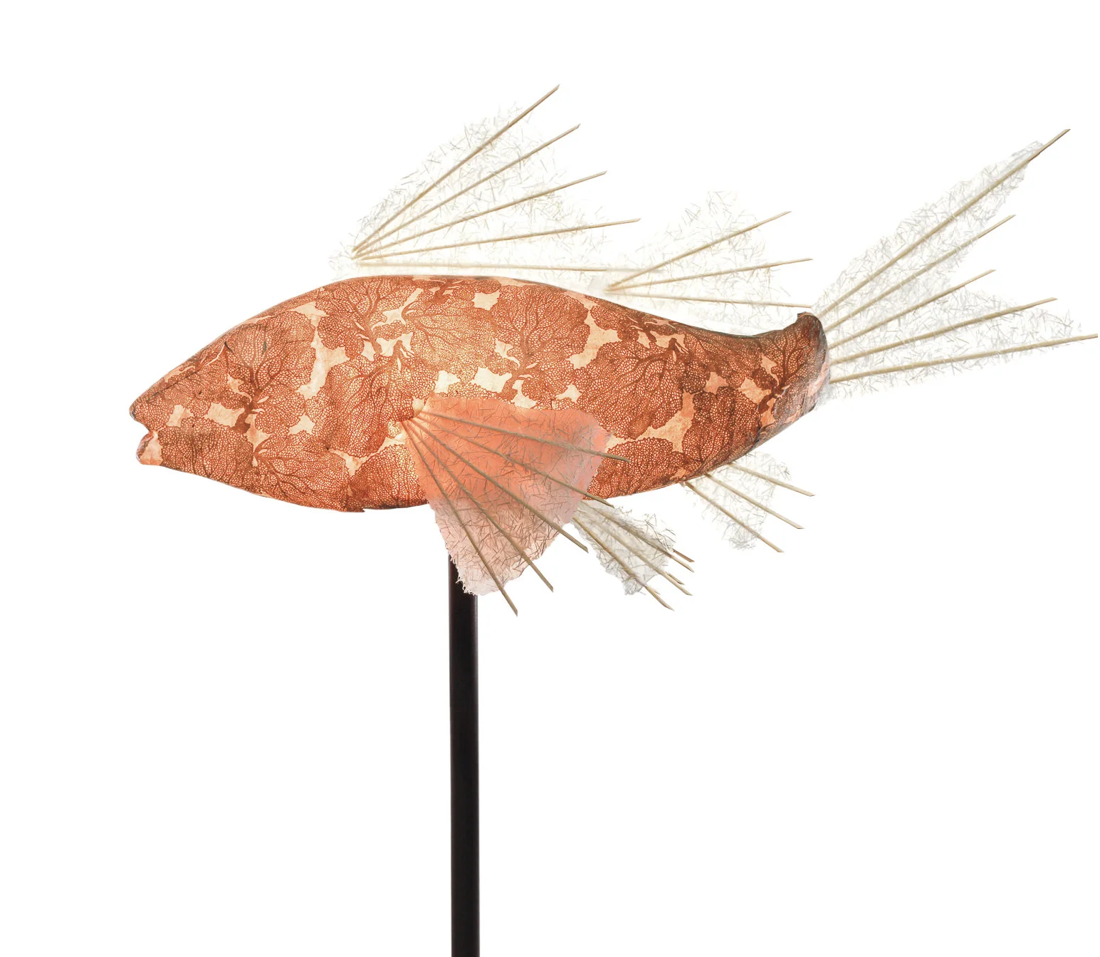 Copper Coral Koi Lamp
