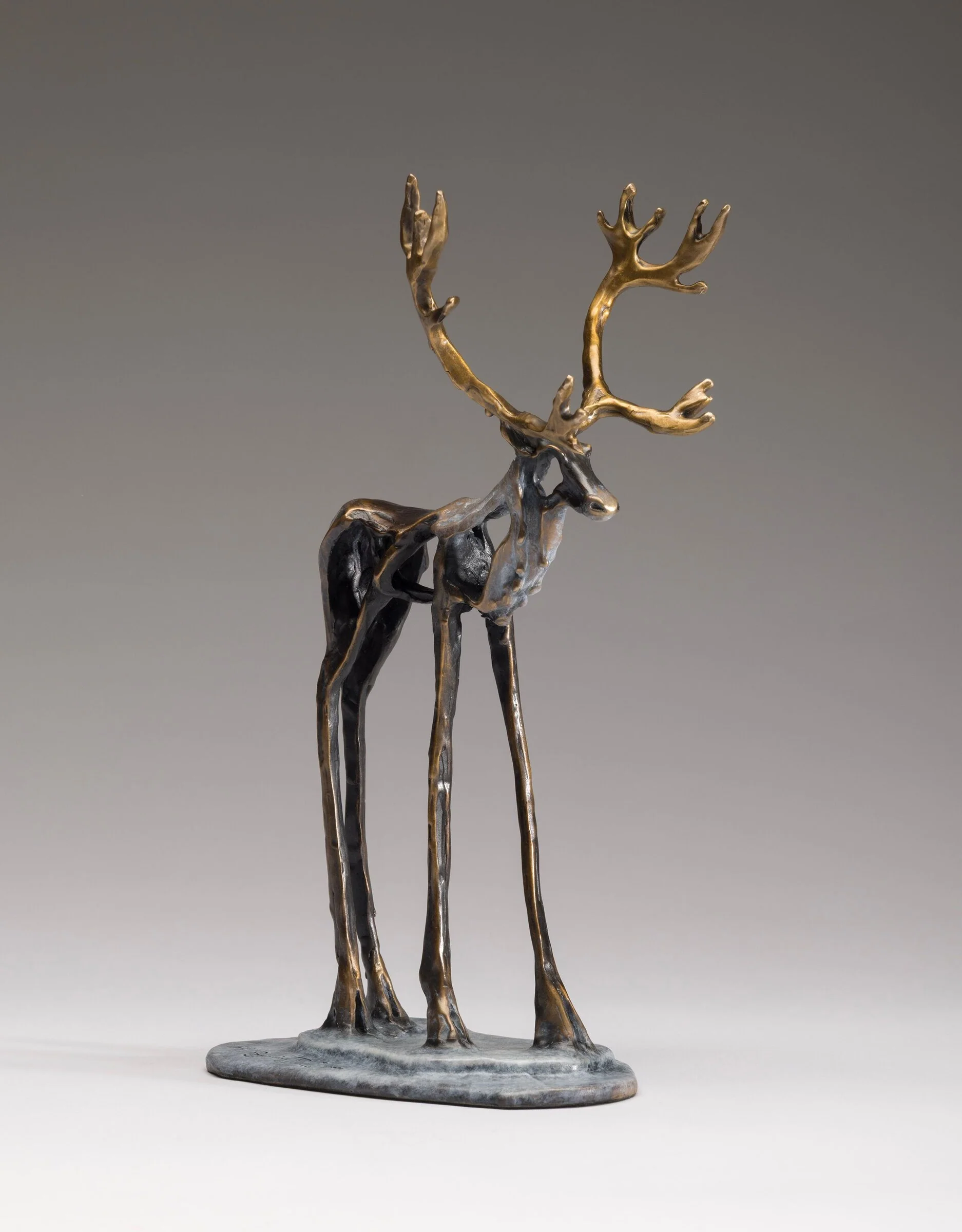 Dasher - Image 3