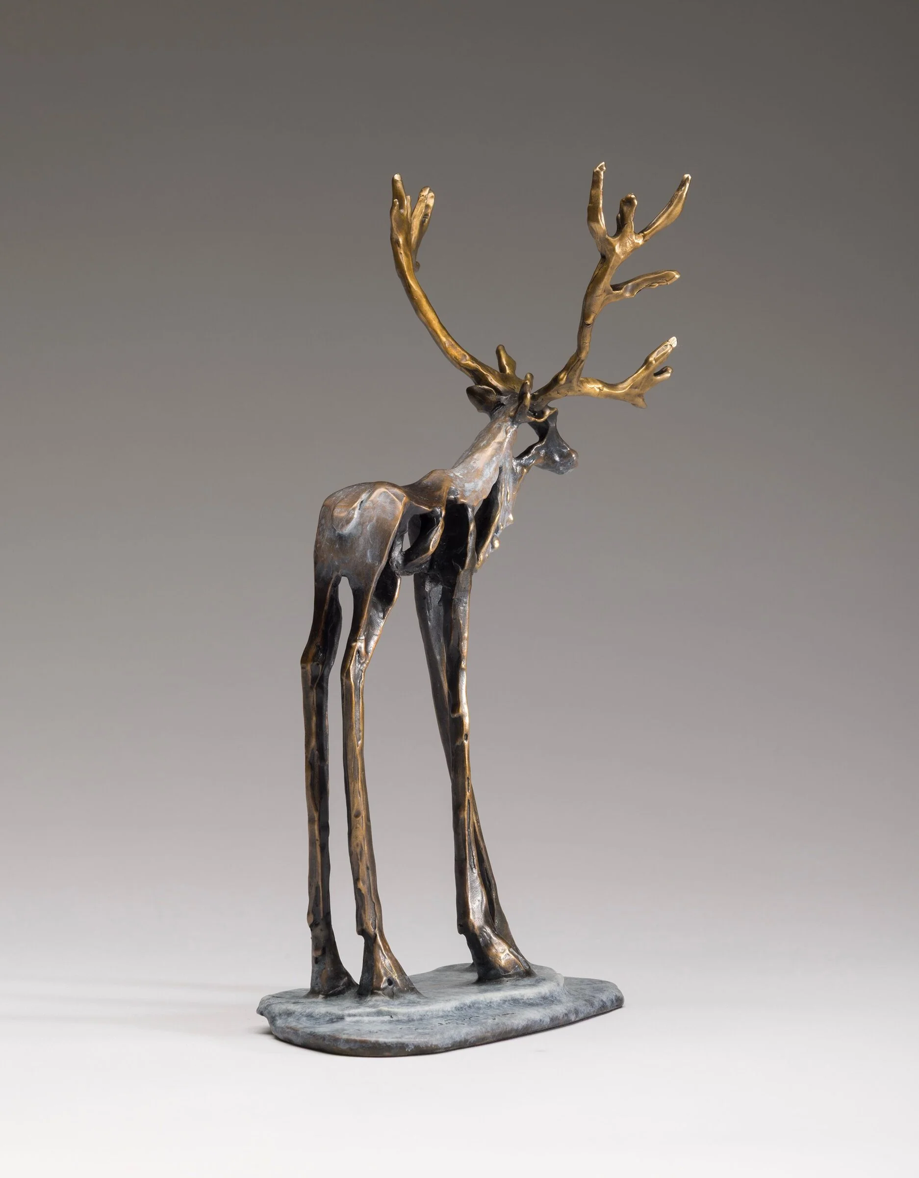 Dasher - Image 4