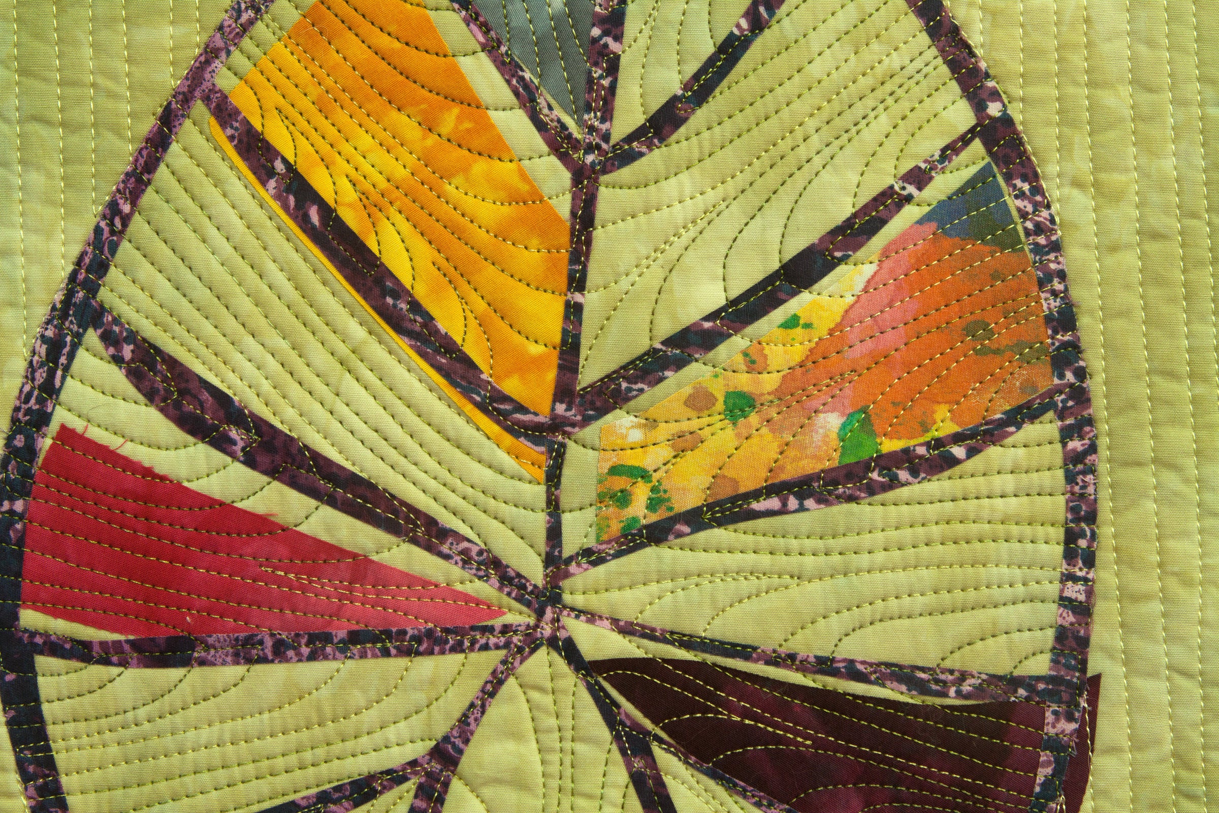 Elephant Ear 2 - Image 2