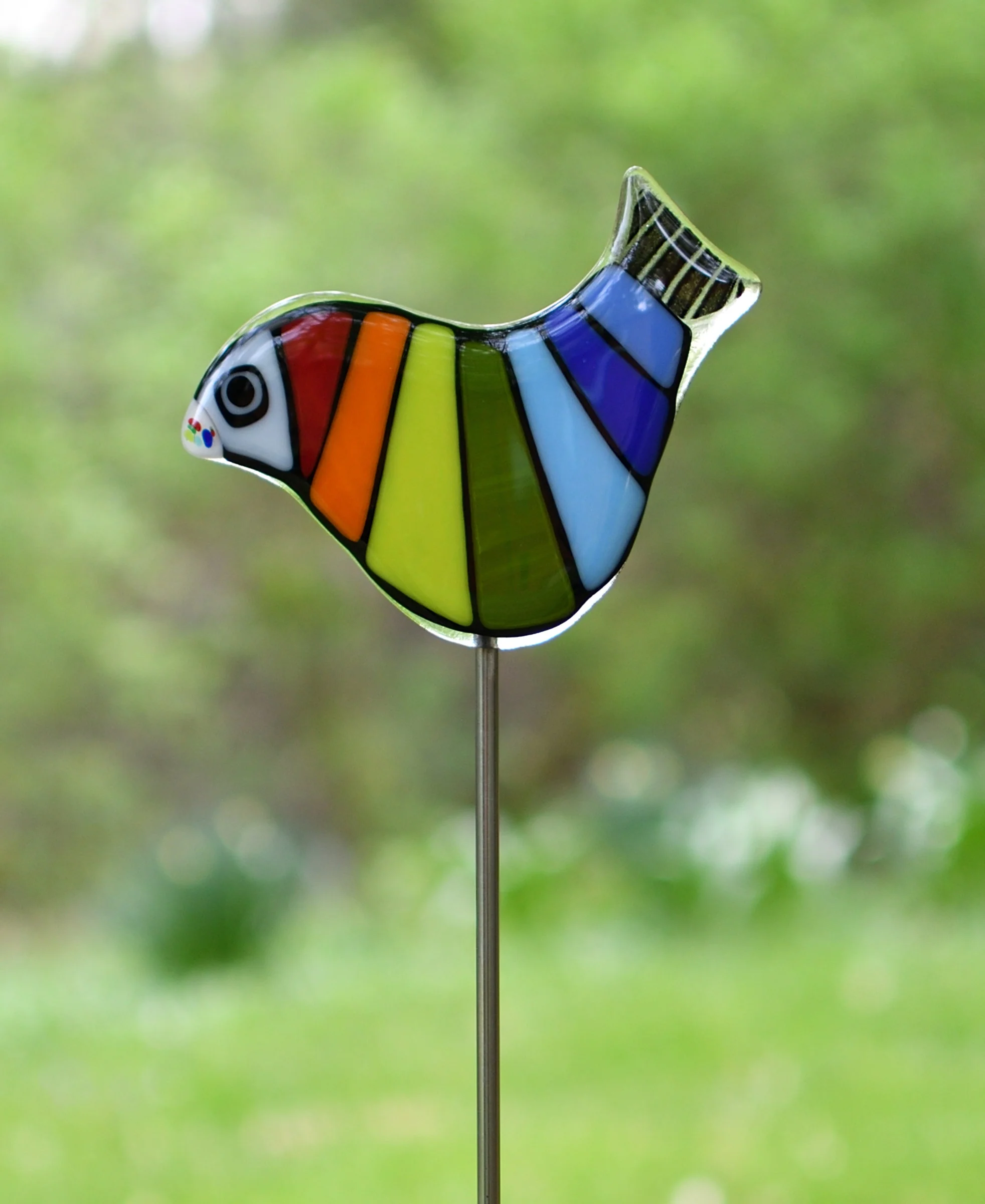 Rainbow Garden Birds - Image 4