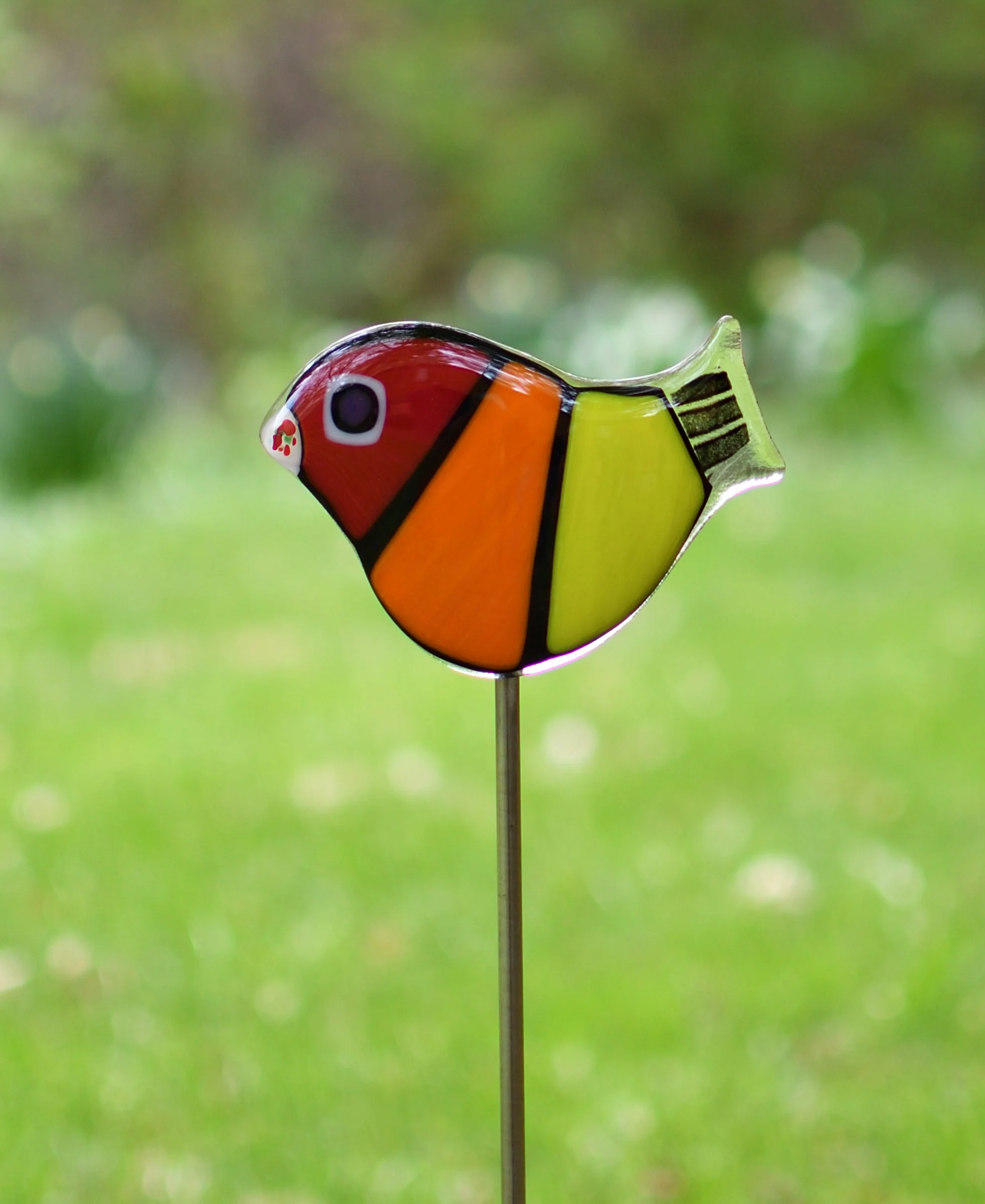 Garden Birds - Roy