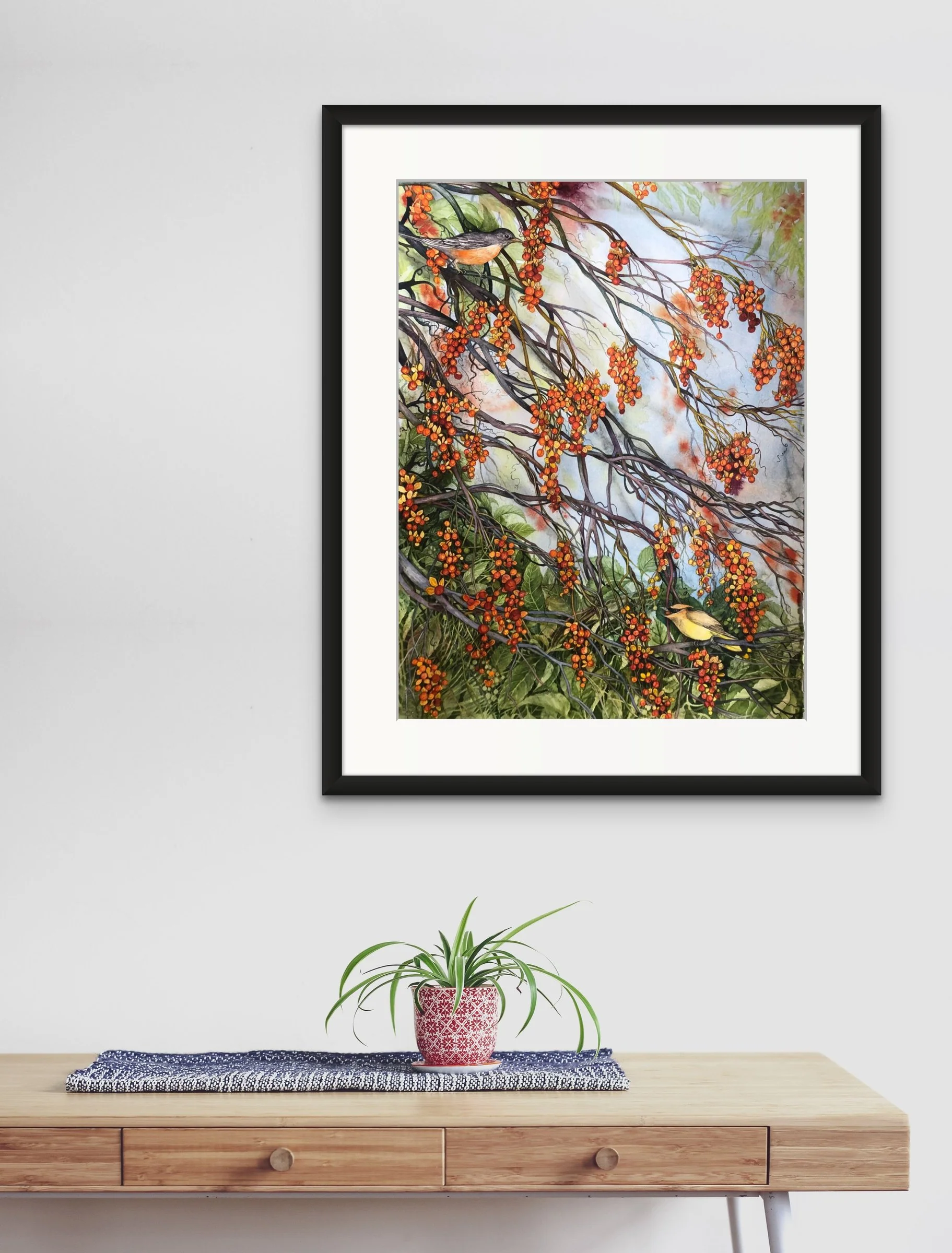 Bittersweet, Robin, and Cedar Waxwing - Image 5