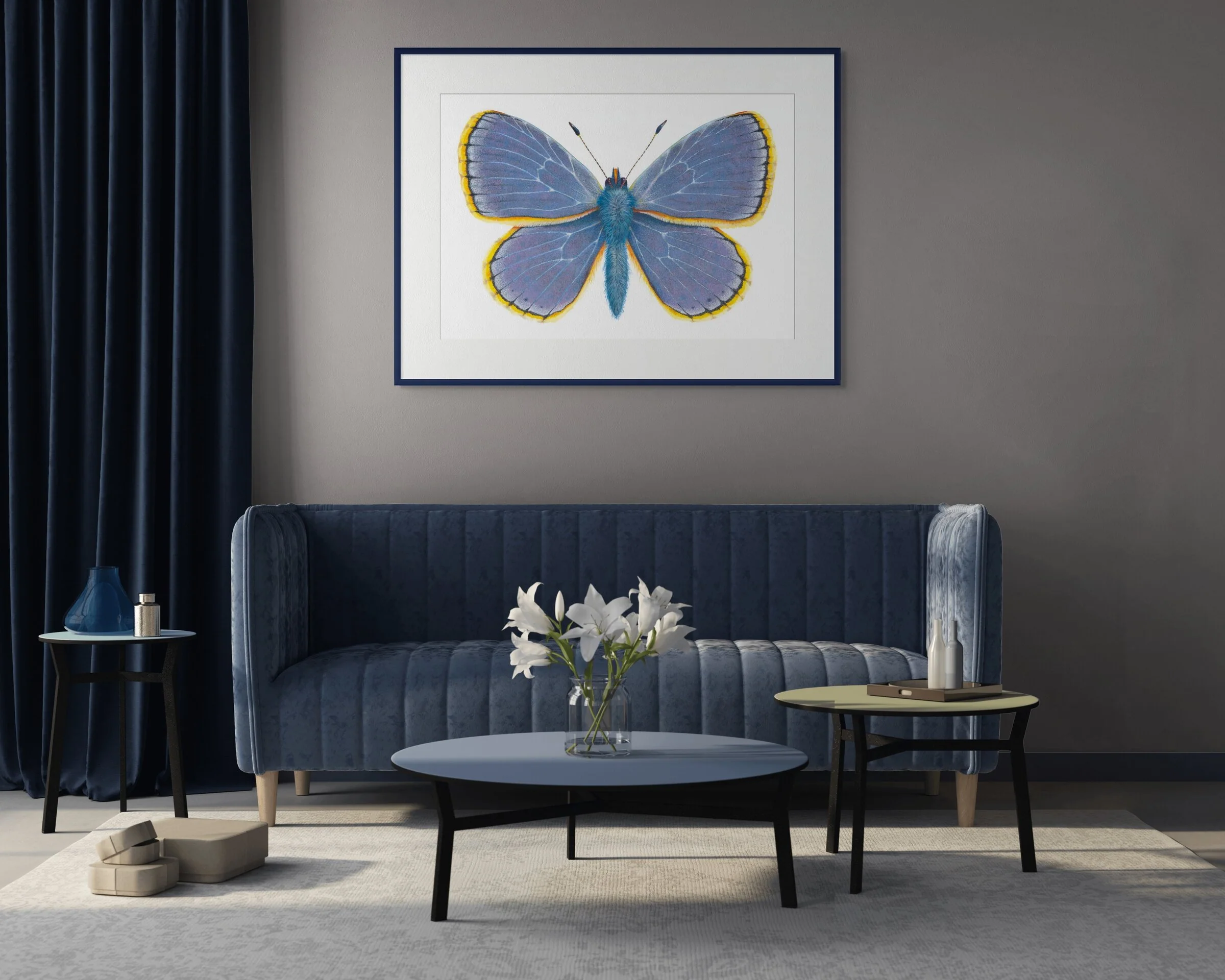 Common Blue Butterfly, Polyommatus Icarus - Image 2
