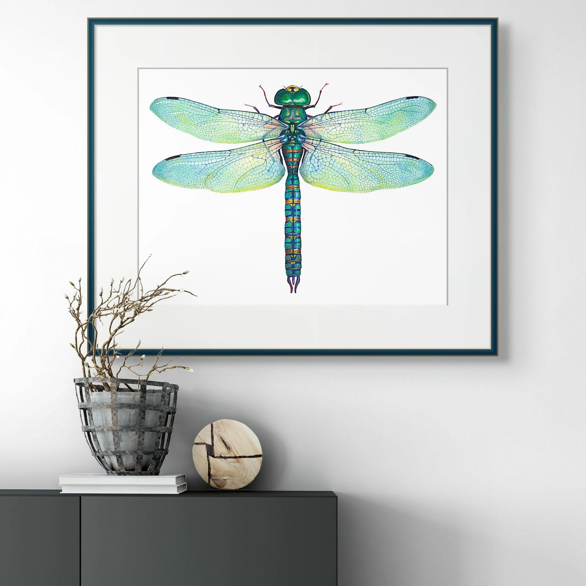 Green Dragonfly, Anax Junius - Image 2