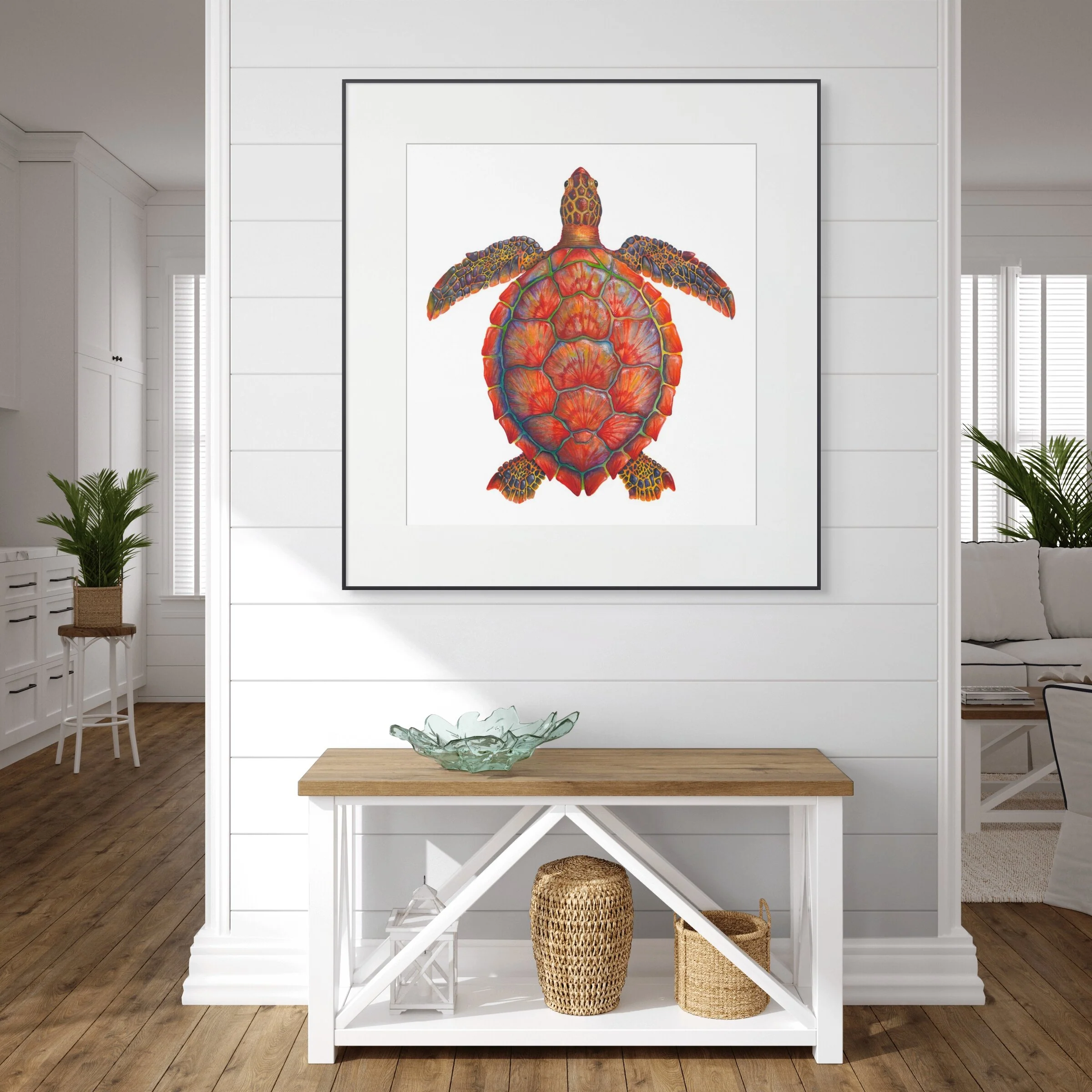 Red Sea Turtle, Chelonia Mydas - Image 2