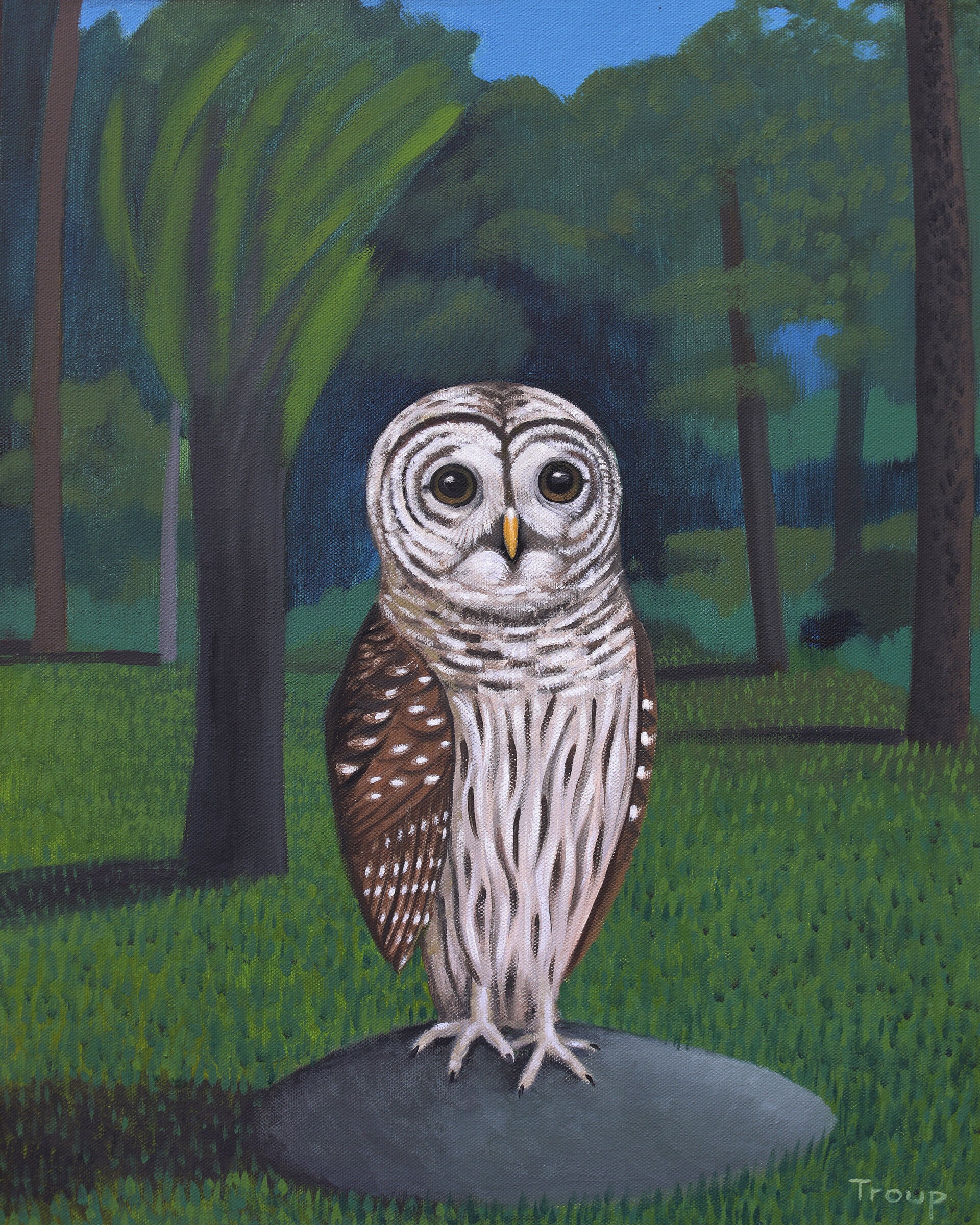 Standing Owl - Print on Canvas