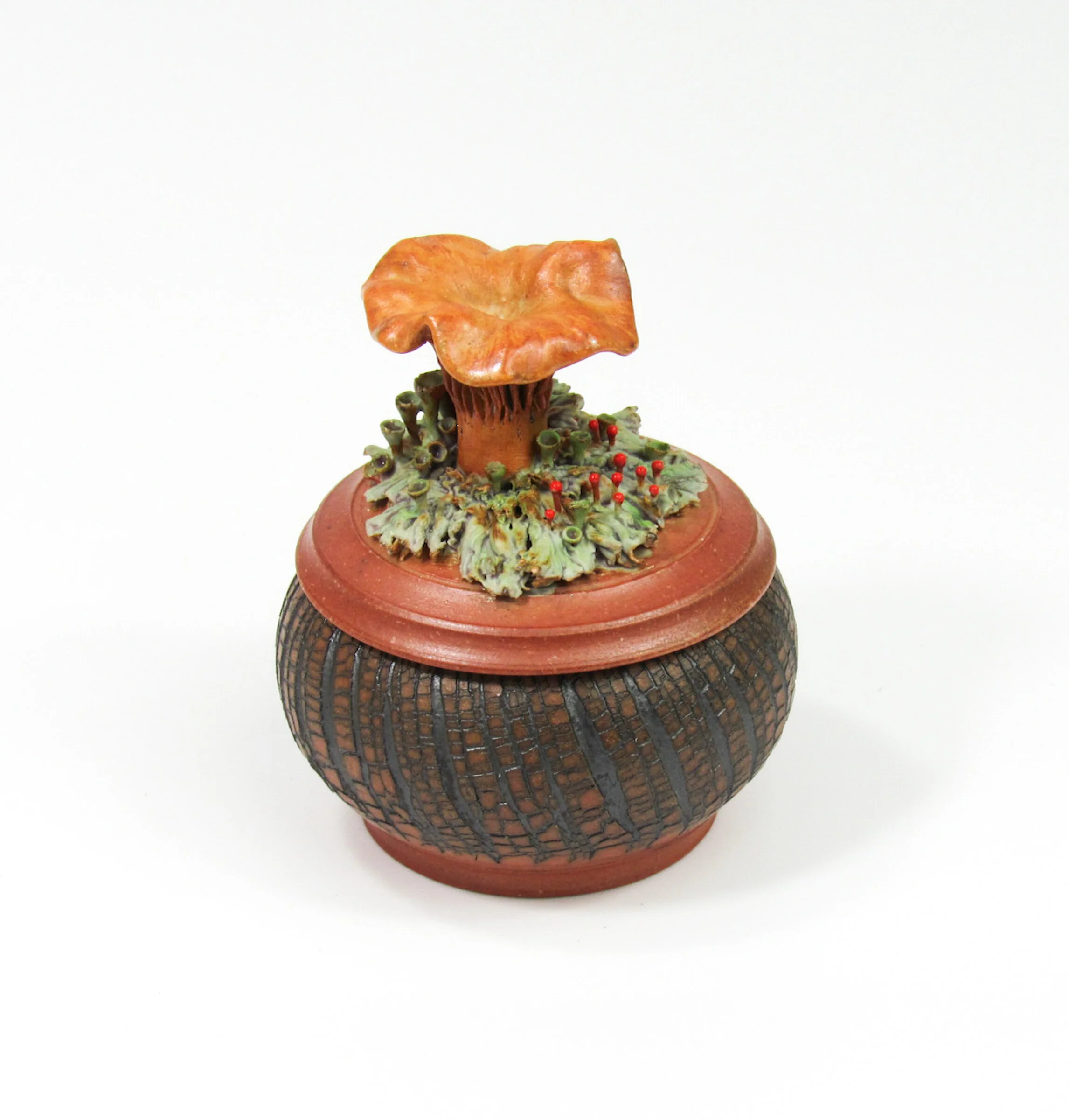 Golden Chanterelle - Image 6