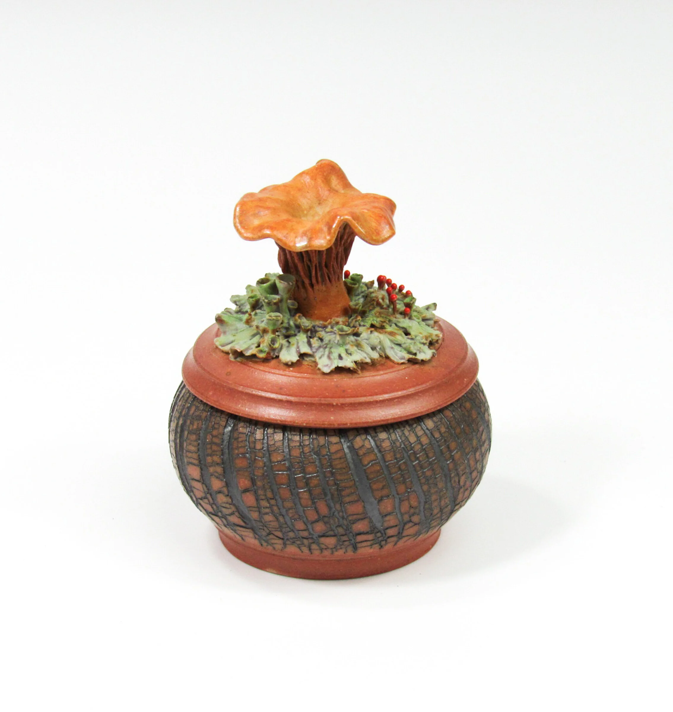 Golden Chanterelle - Image 8