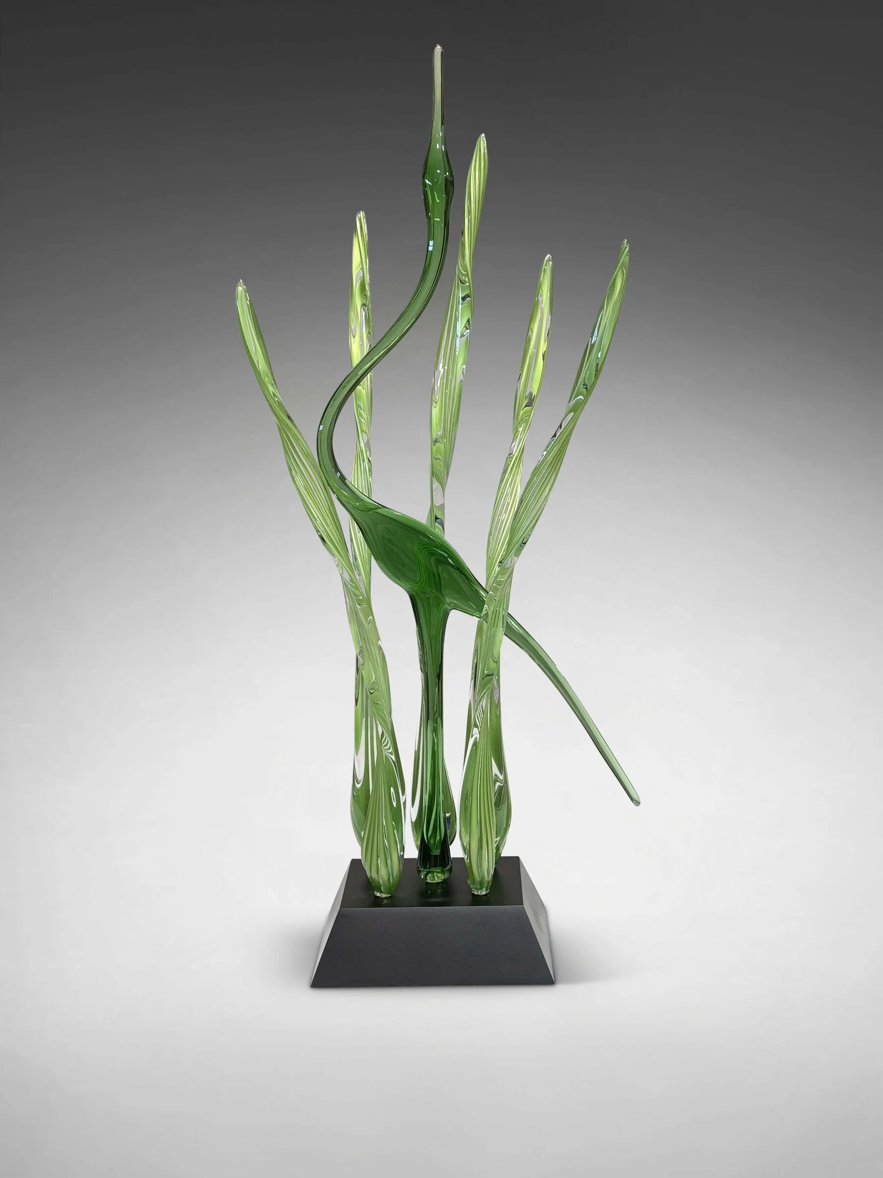 Heron's Cove I, Lime - Black Base - Image 2