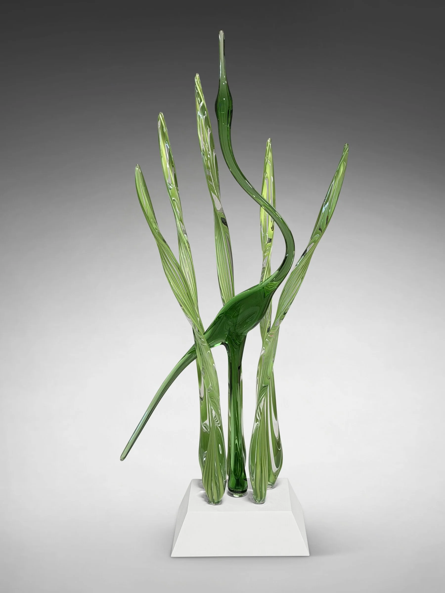Heron's Cove I, Lime - White Base - Image 2