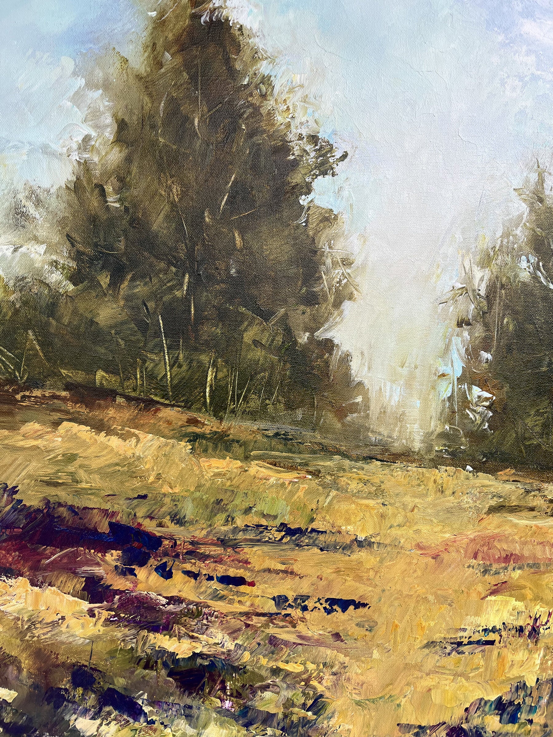Hill Country - Image 2