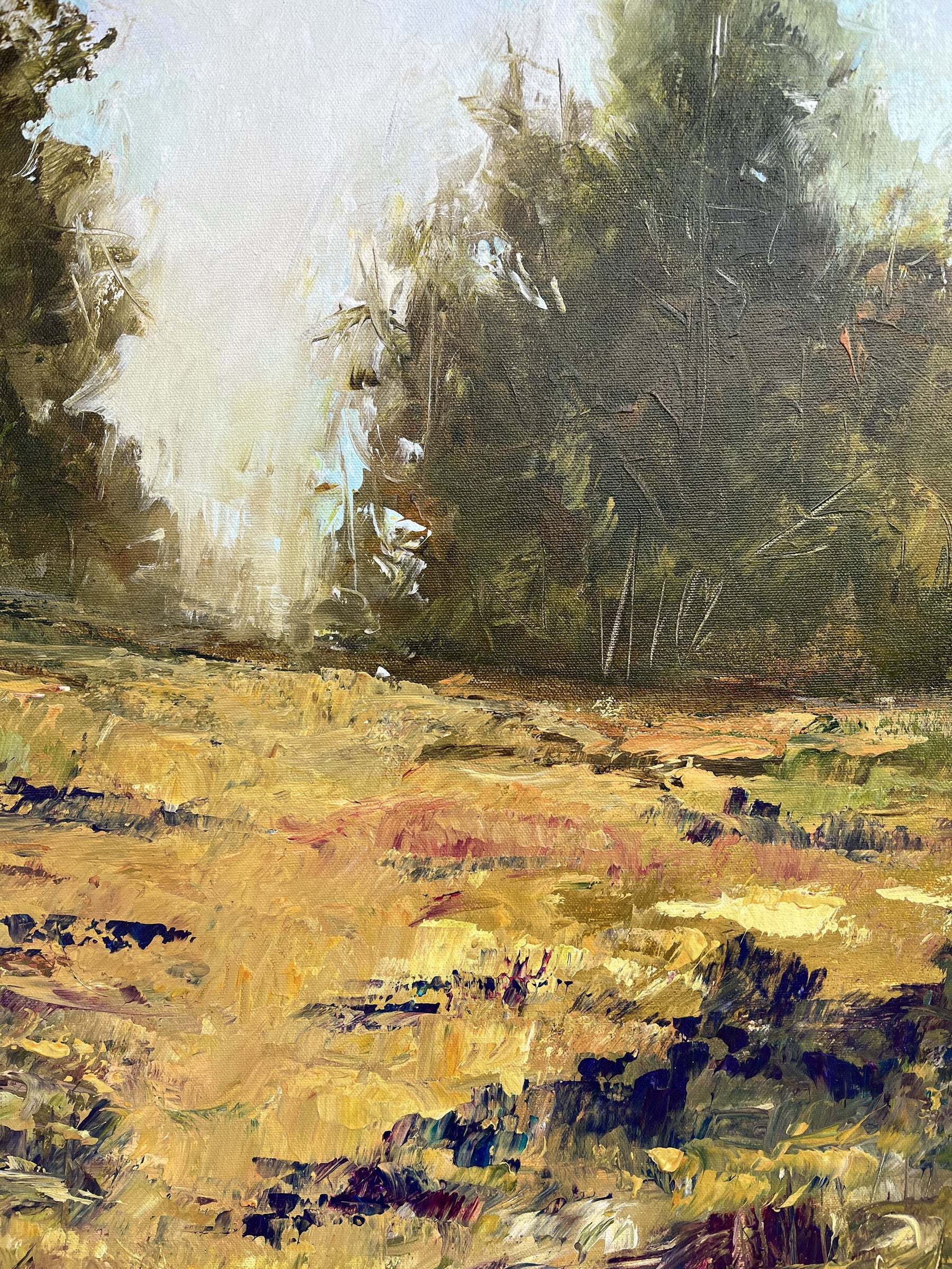 Hill Country - Image 3