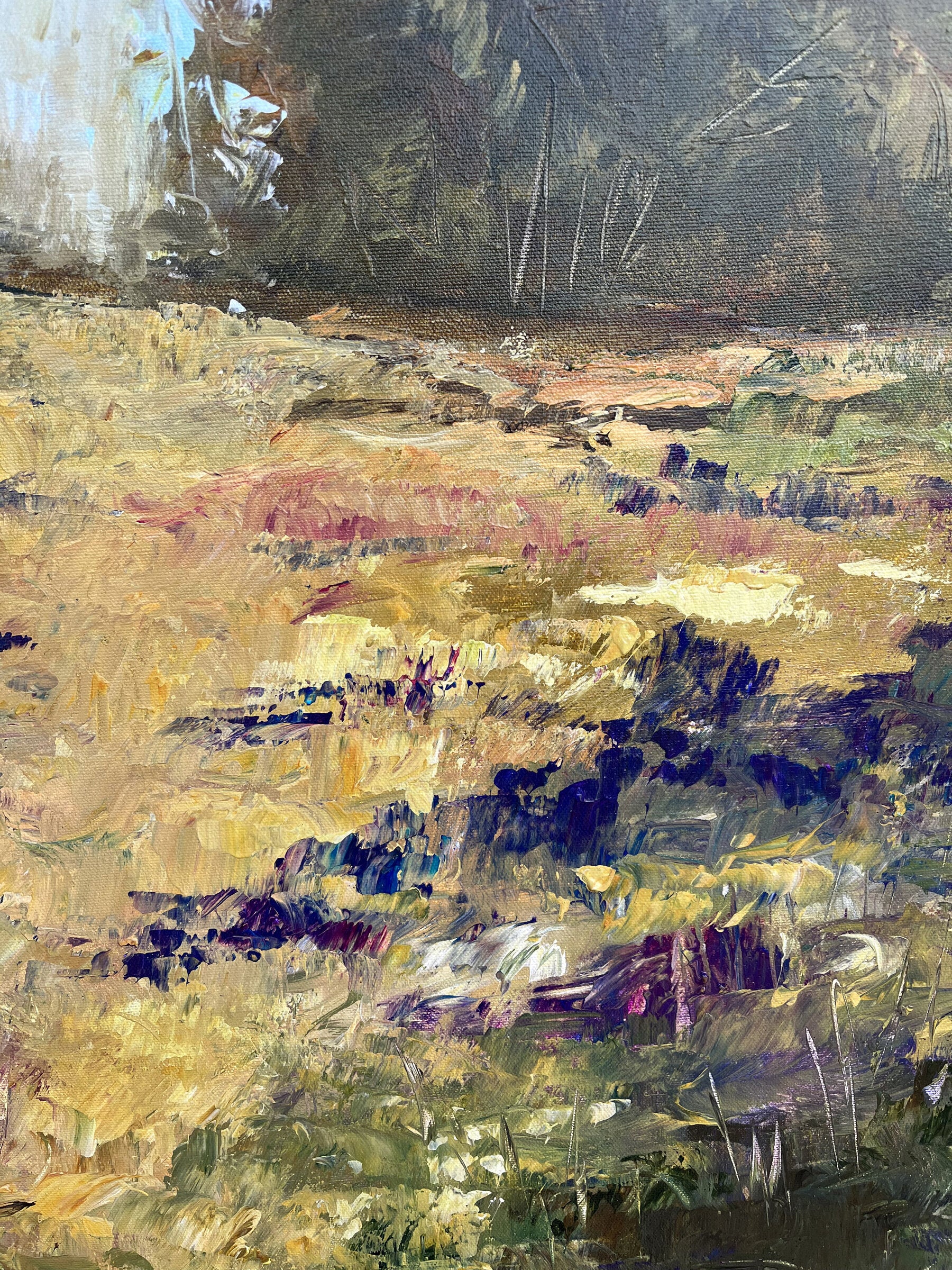 Hill Country - Image 4