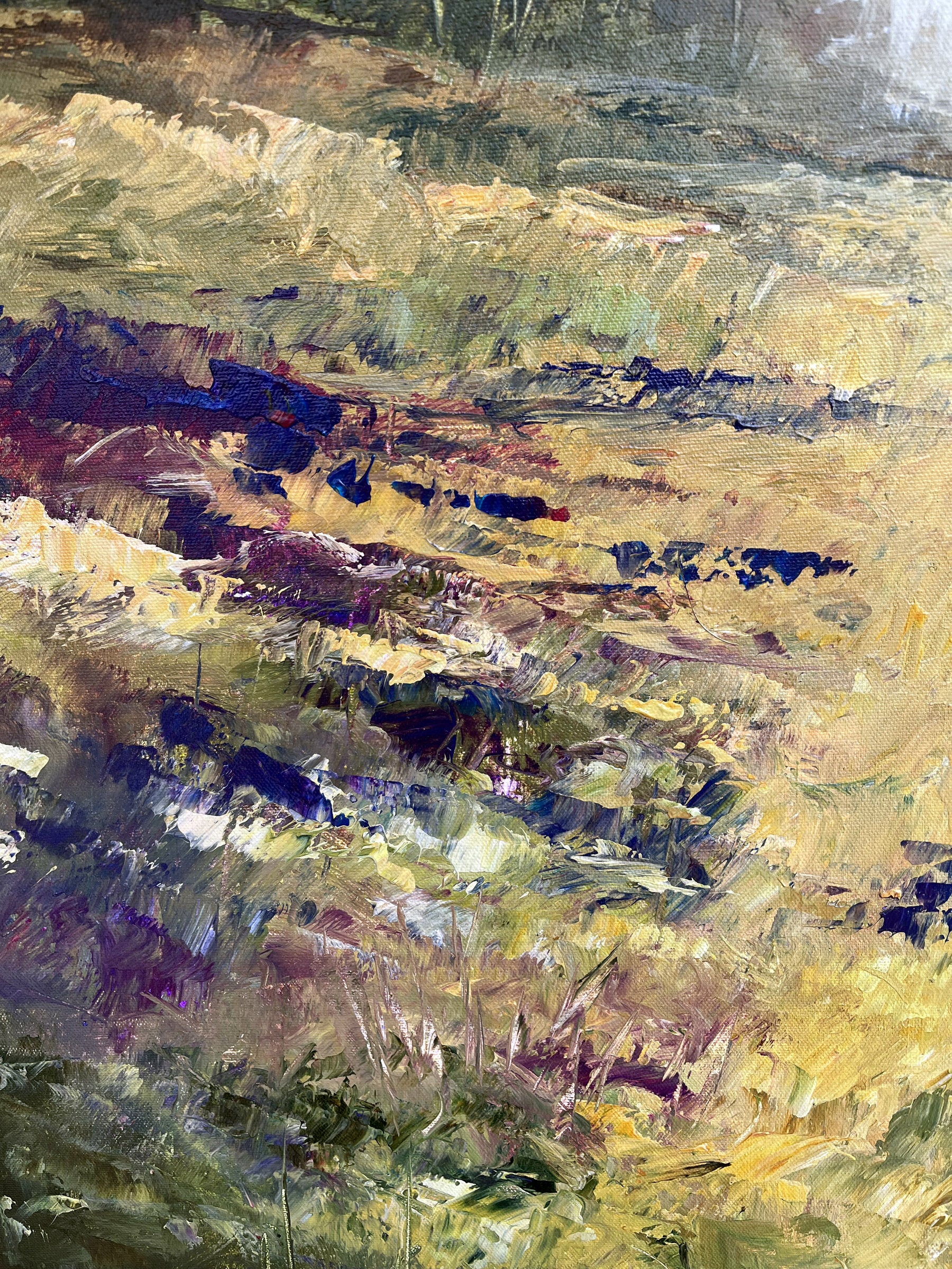 Hill Country - Image 5