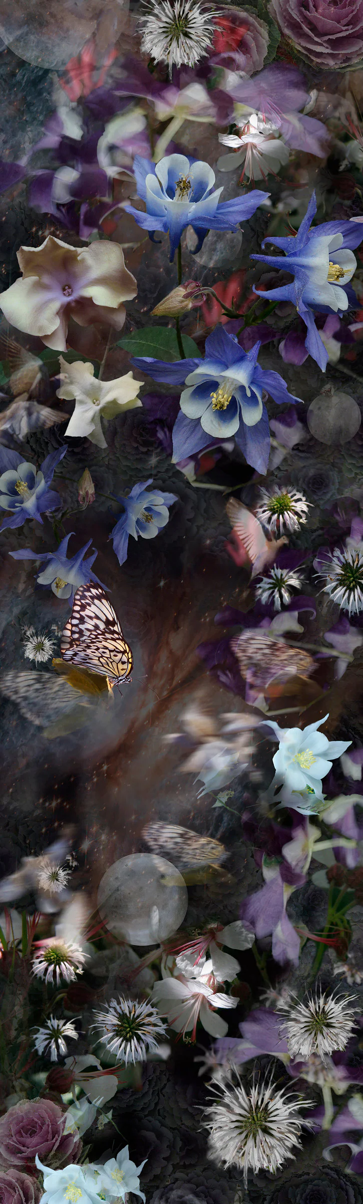 In the Night The Cabbages Catch at the Moon, the Leaves Drip Silver - Large