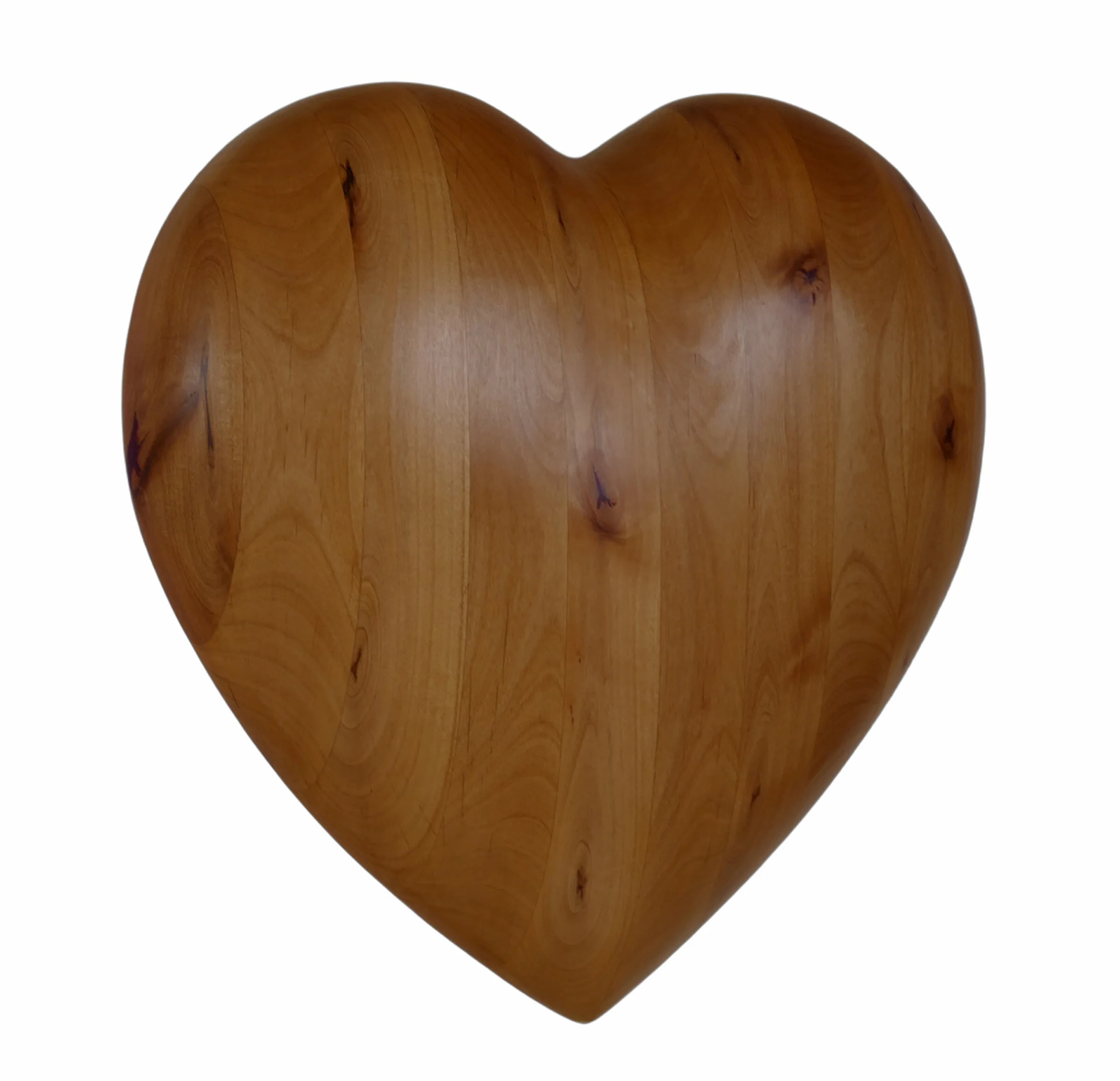 Intrepid Heart - Image 2