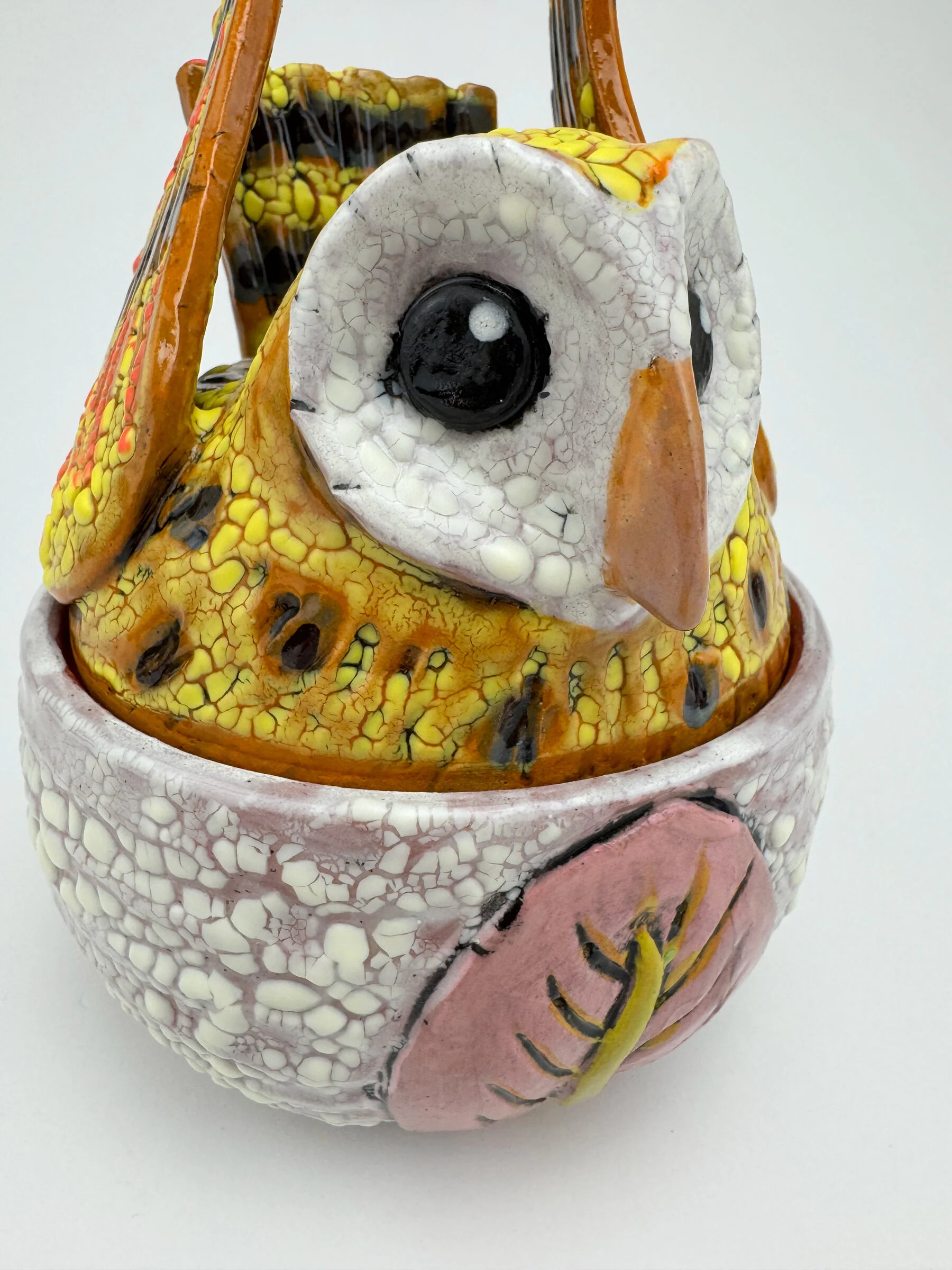 James the Owl Box - Image 5