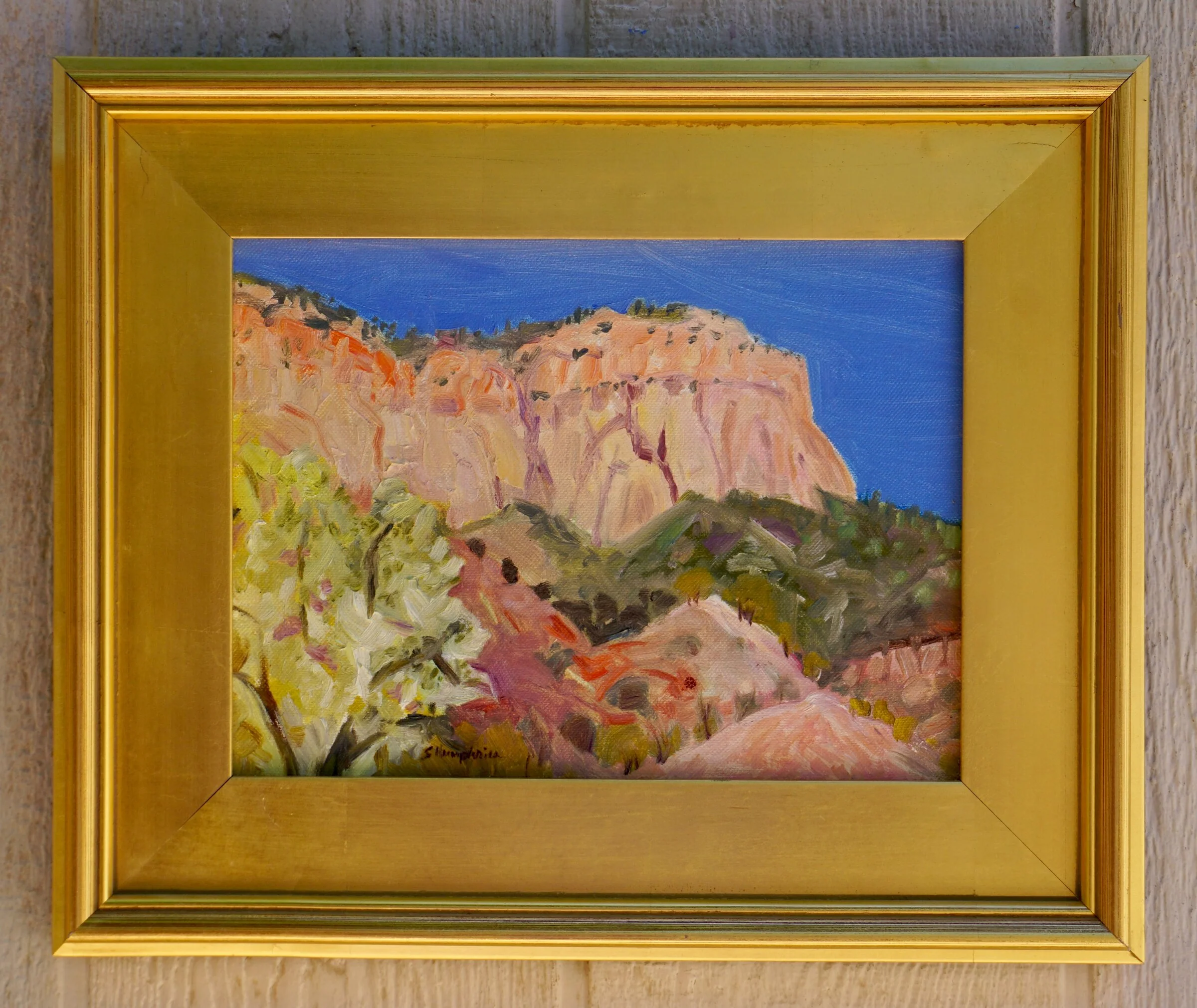 Jemez Summer #1 - Image 2