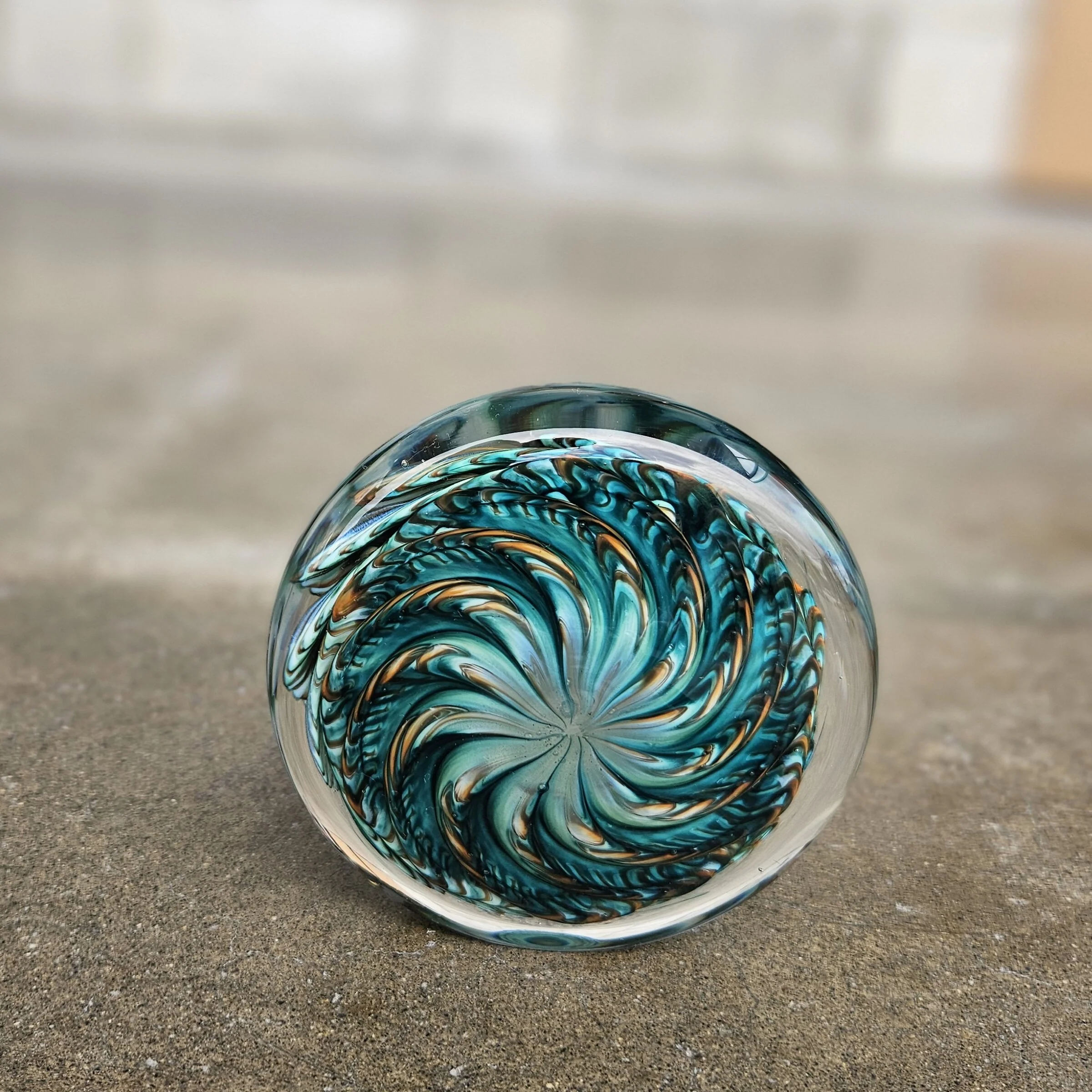 Lagoon Urchin - Image 2