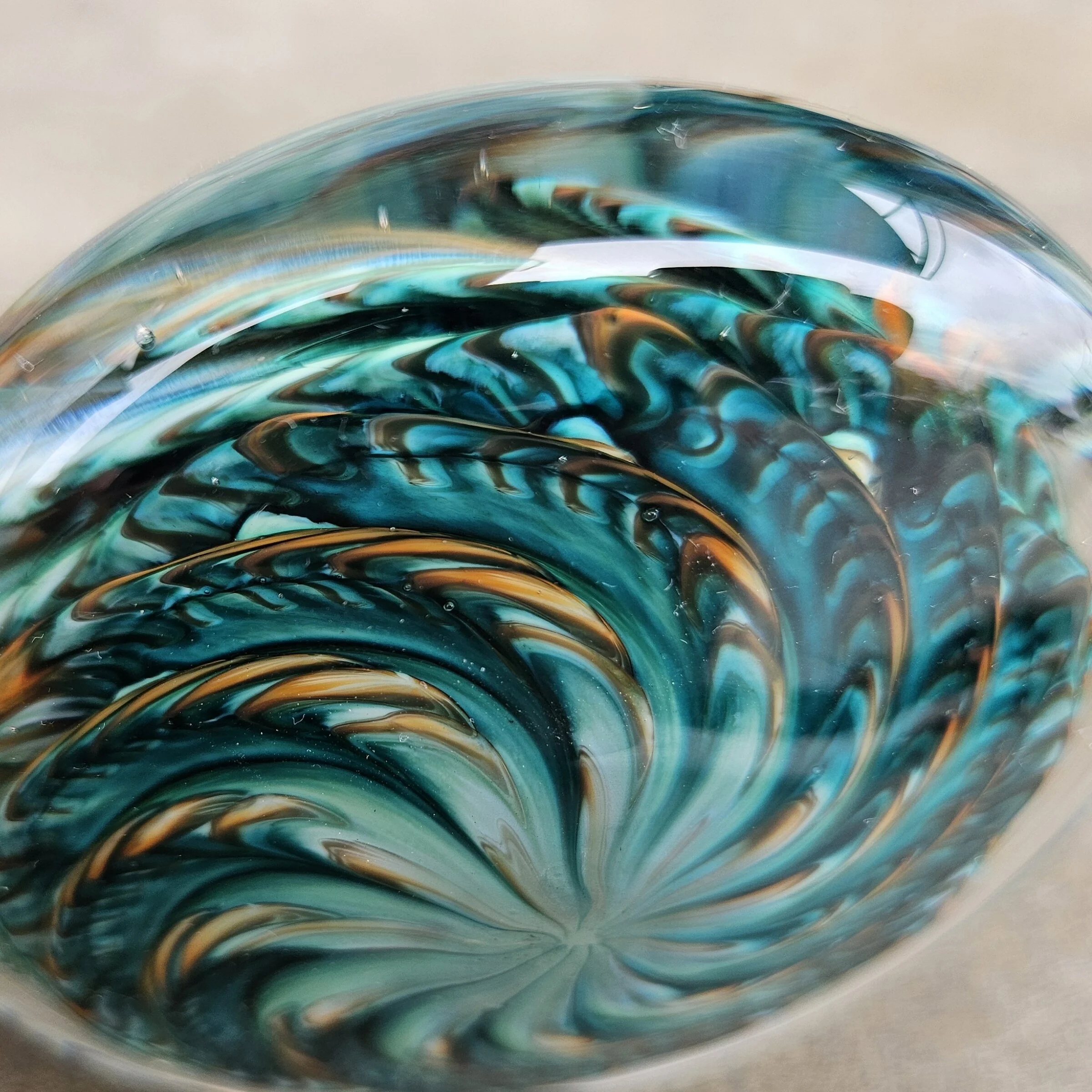 Lagoon Urchin - Image 4