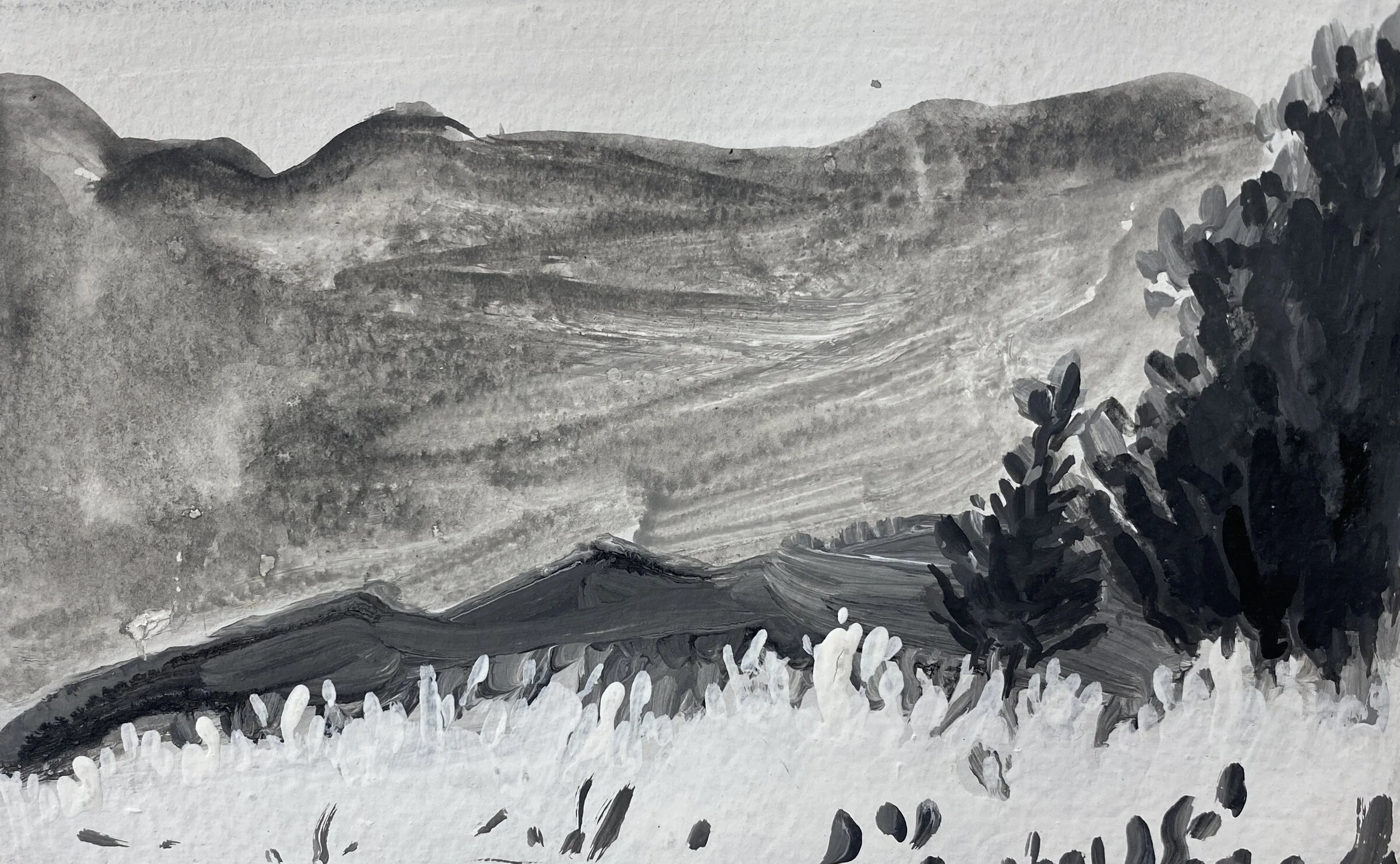 Landscape Study One