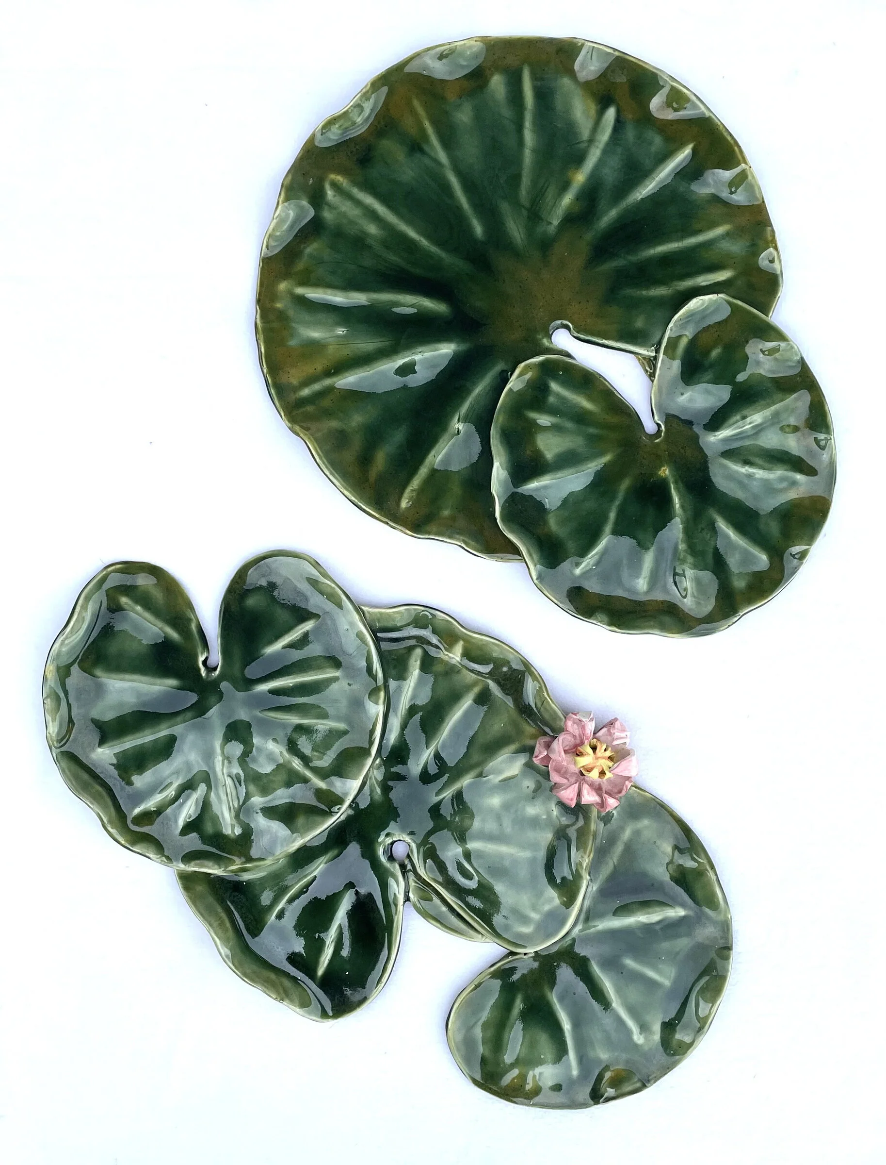 Lily Pad Grouping