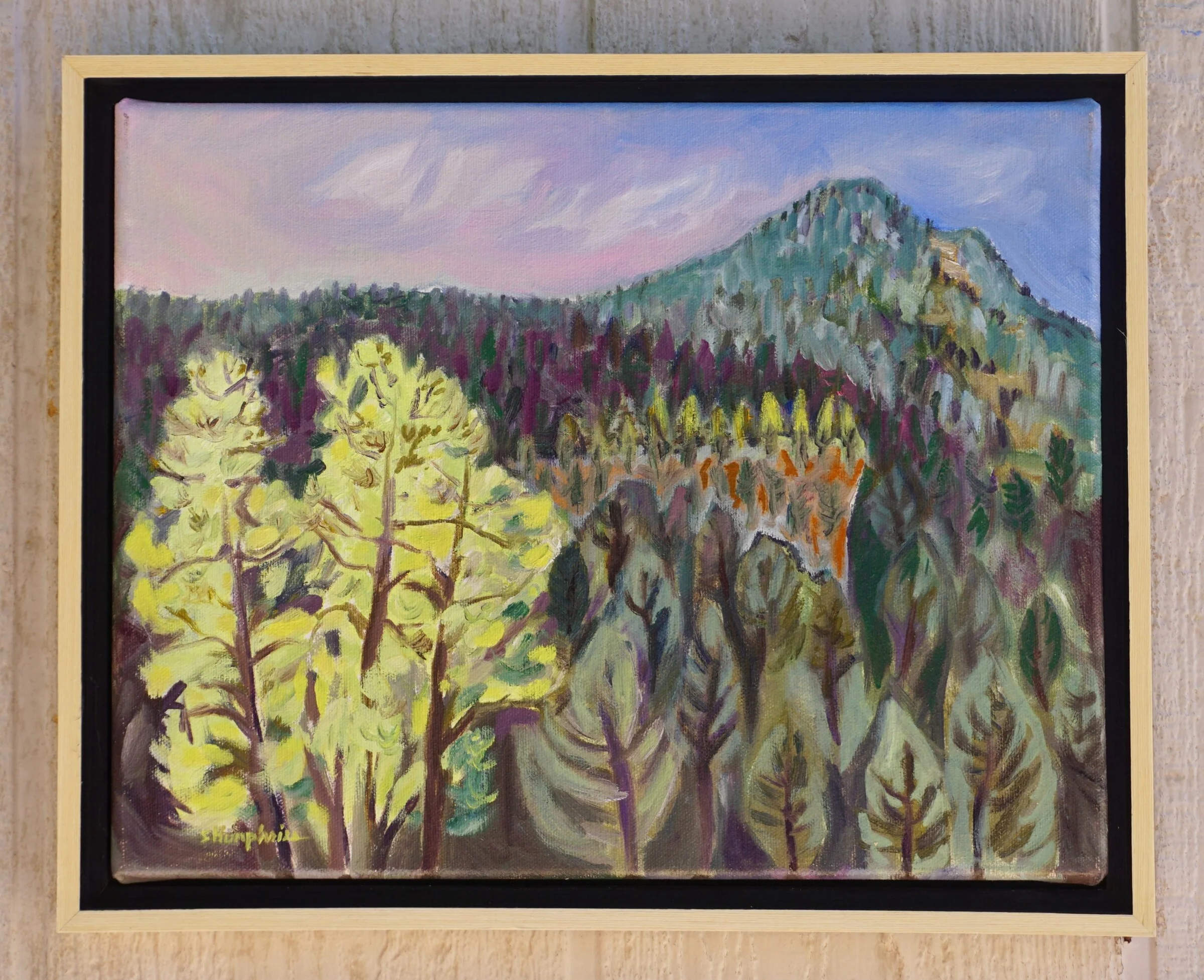 Manzano Mountains - Image 2