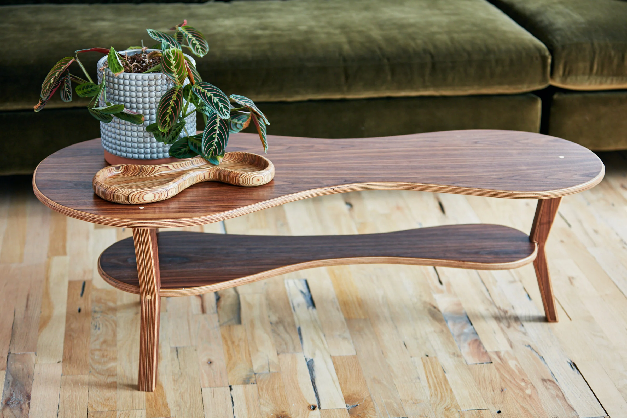 Mid-Century Modern Organic Coffee Table - Walnut
