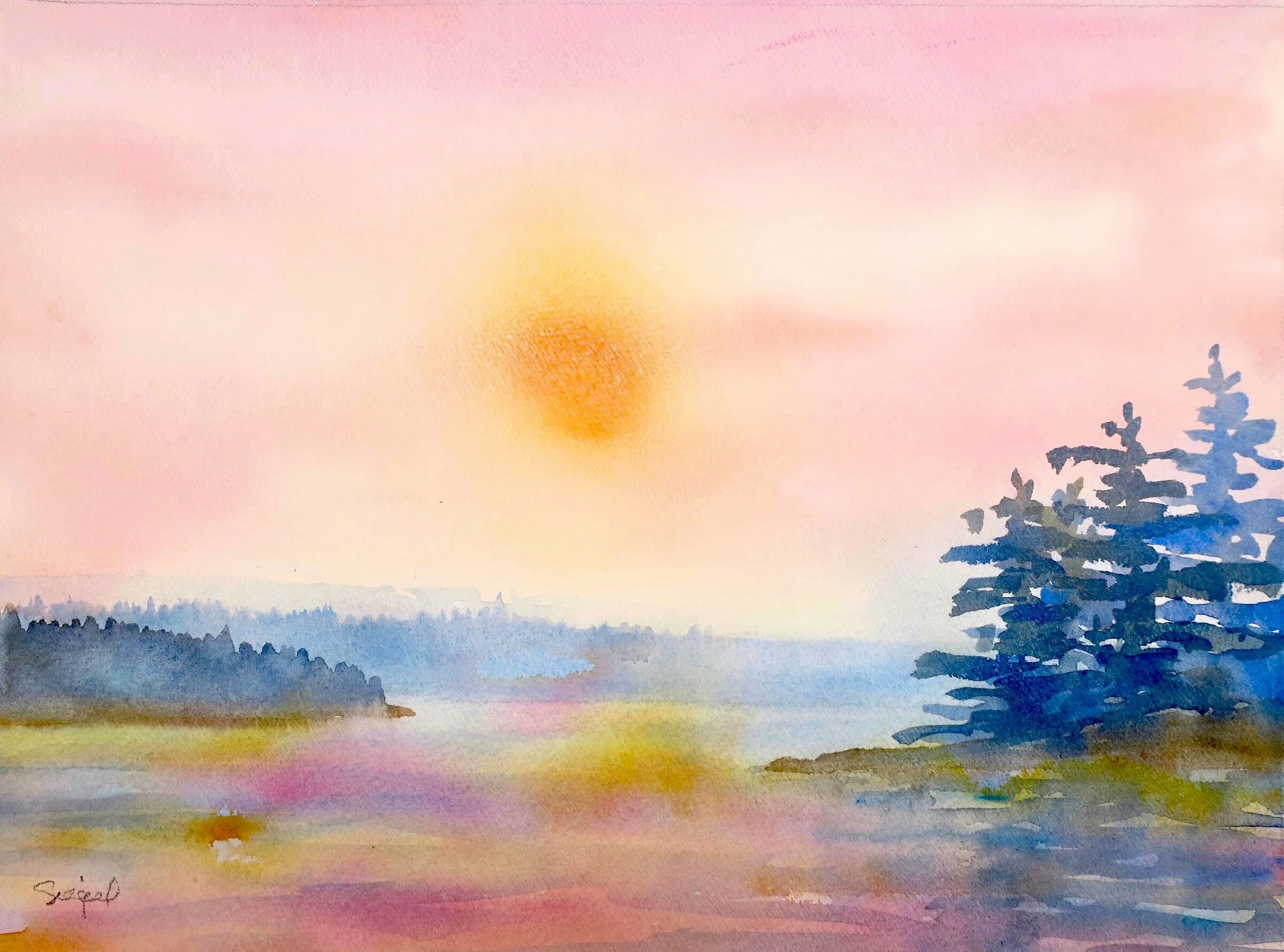 Morning, Maine