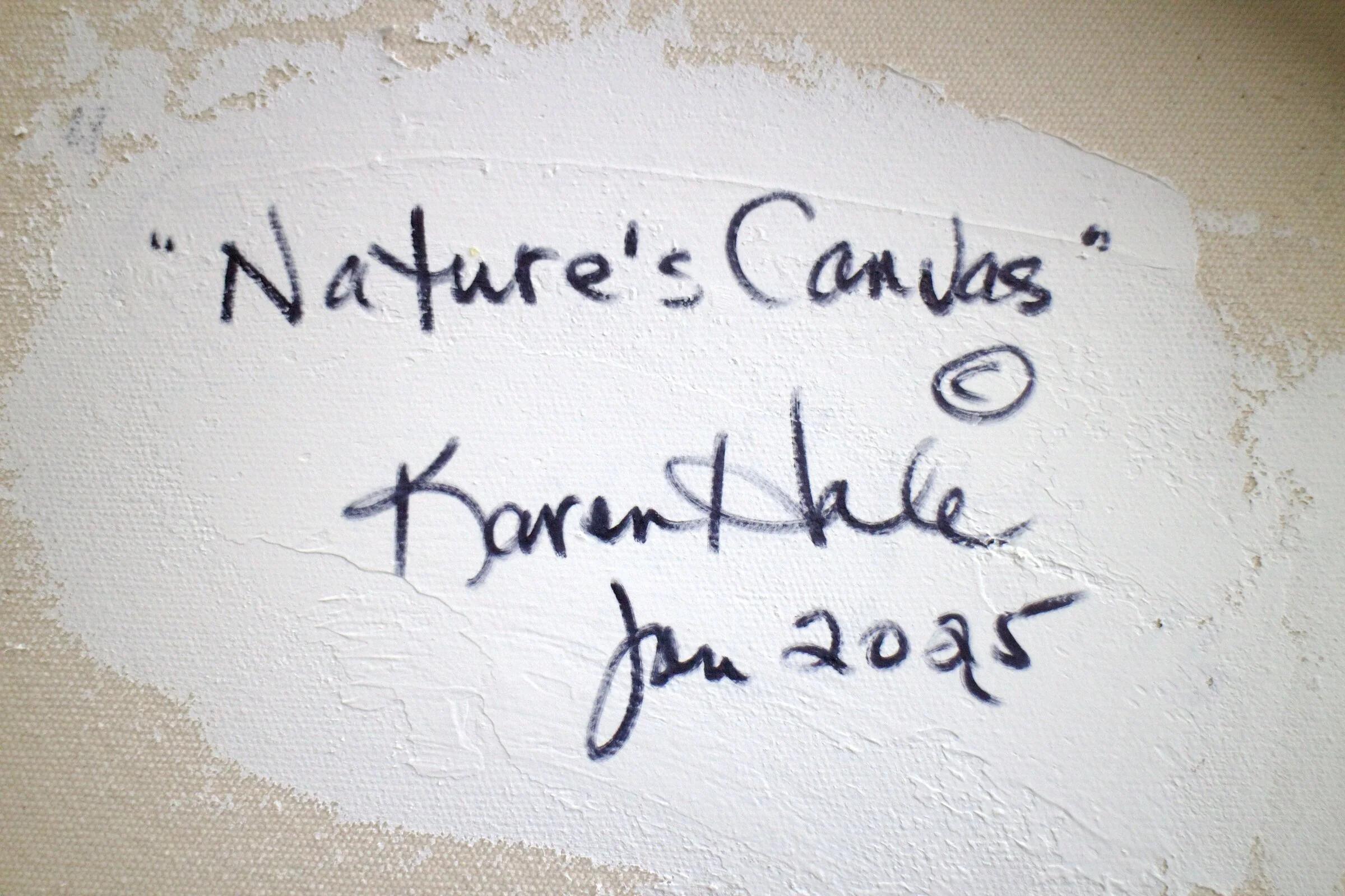 Nature's Canvas - Image 10