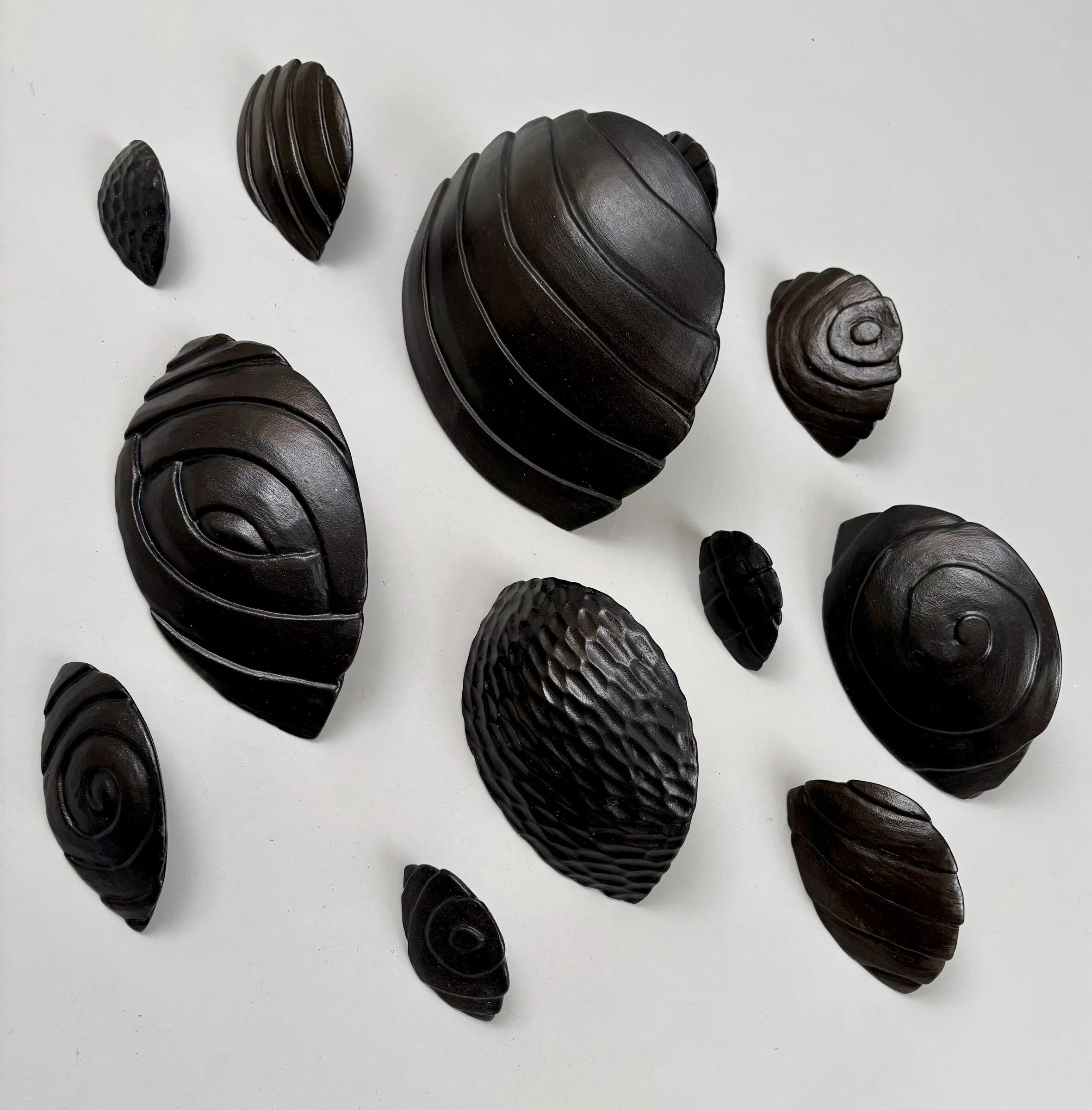 Night Chitons - Image 2
